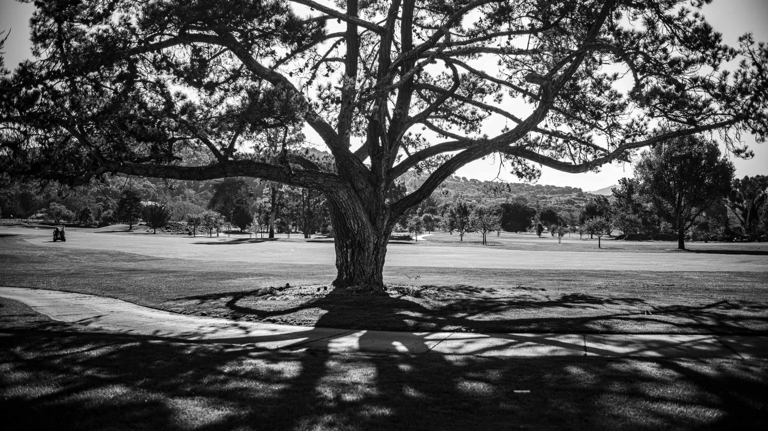 0464-4906-M10M0021-220123-Doug Coulter-2-2.jpg