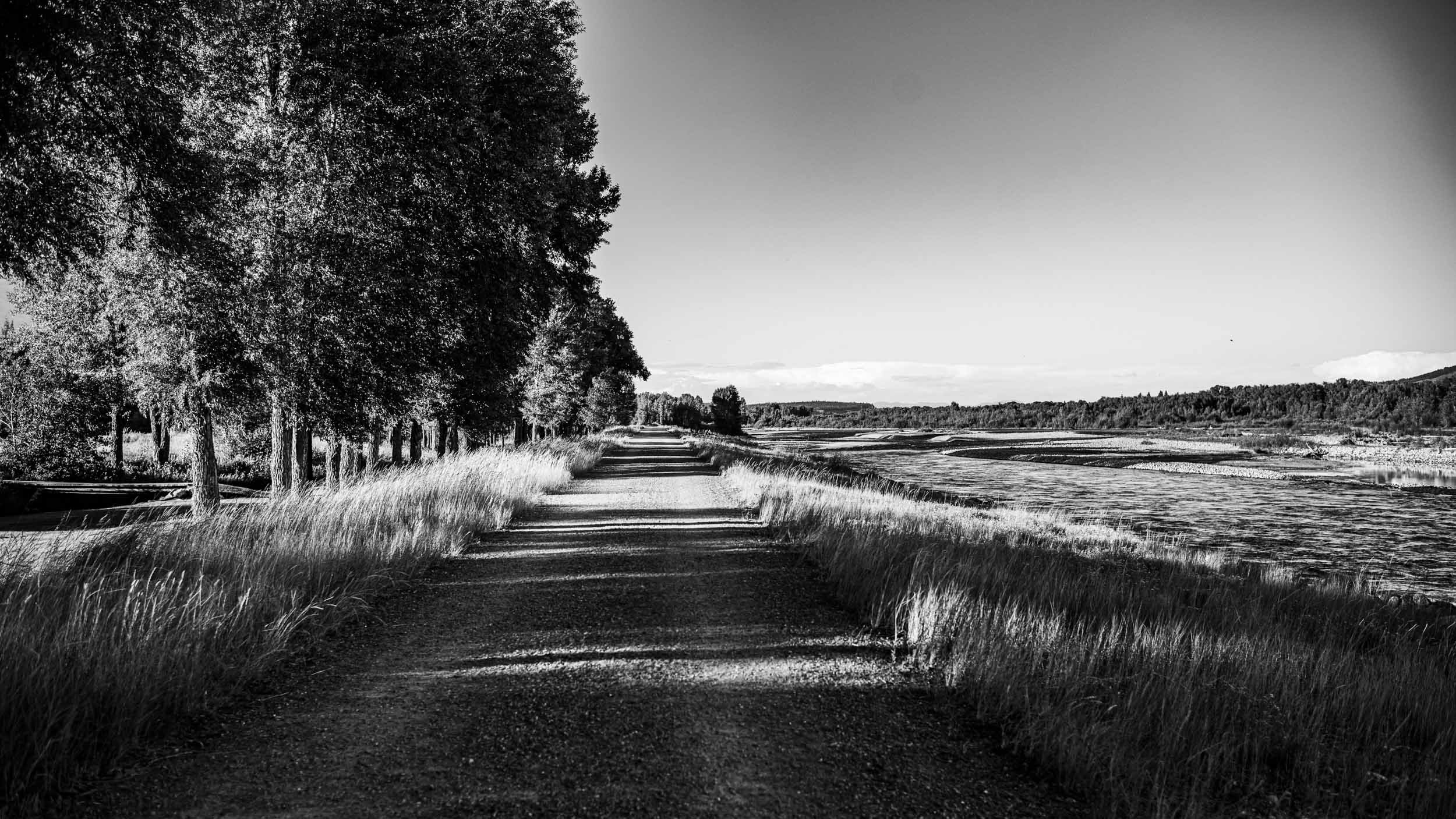 5667-6942-M10M9949-250812-Doug Coulter-2-2.jpg