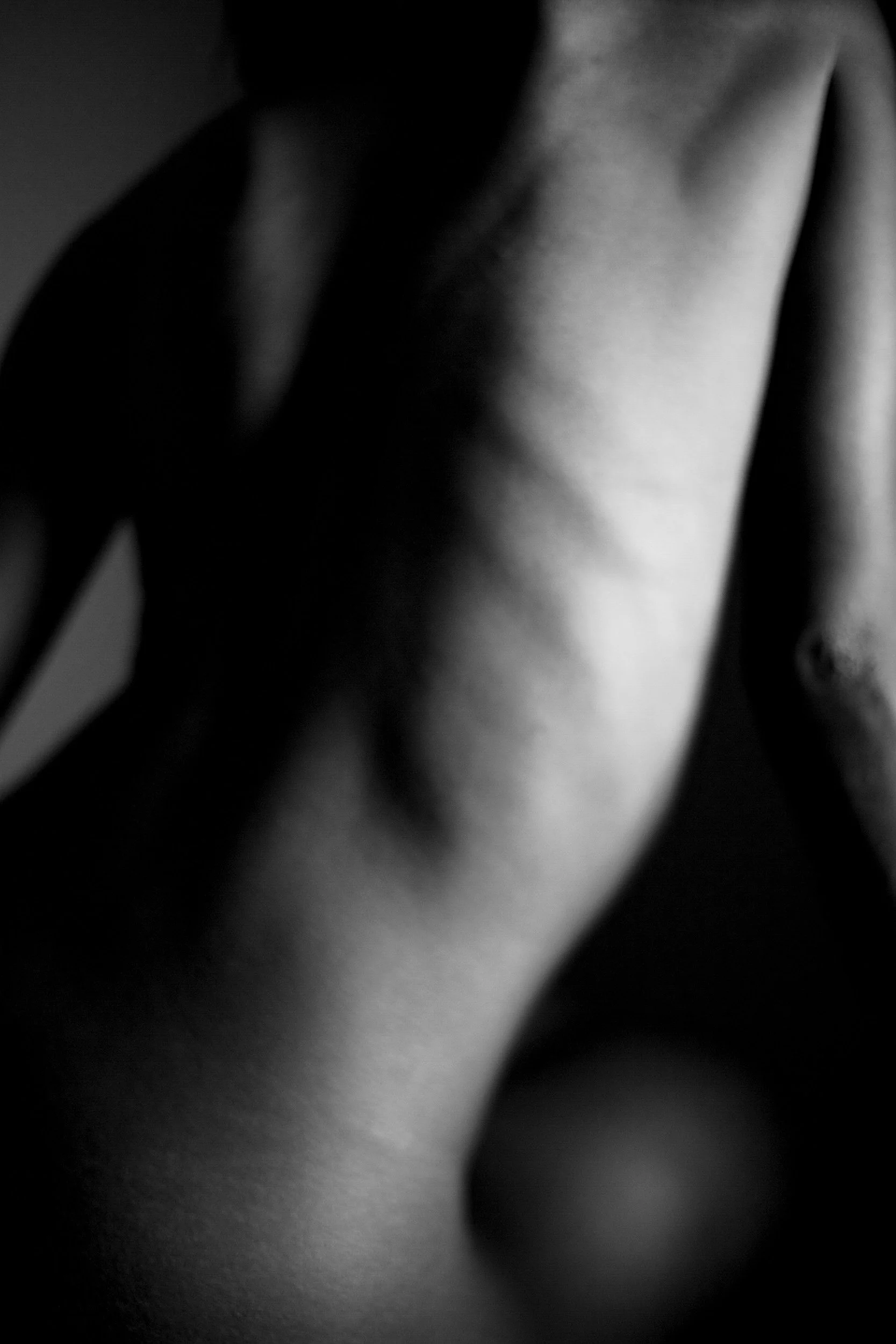 138-594-461-6314-2749-277-Nudes-3-180129-Doug Coulter-2.jpg