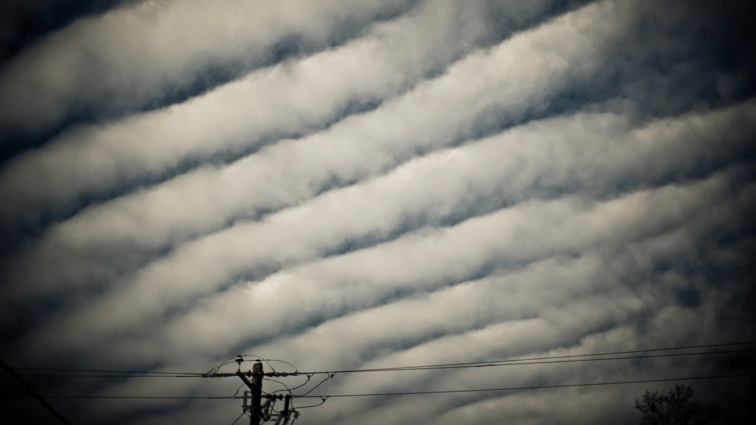 107-3533-2763-557-LS&S-181-180129-Doug Coulter-2.jpg