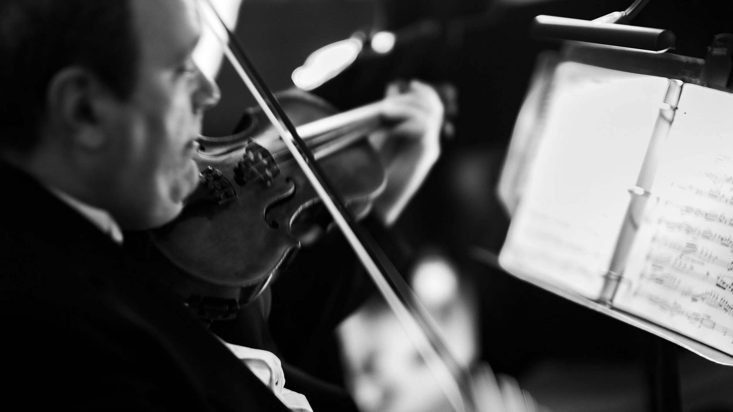 160-2390-1284-1777-141119-DouglasCoulter-141119-Doug Coulter-2-2-2.jpg