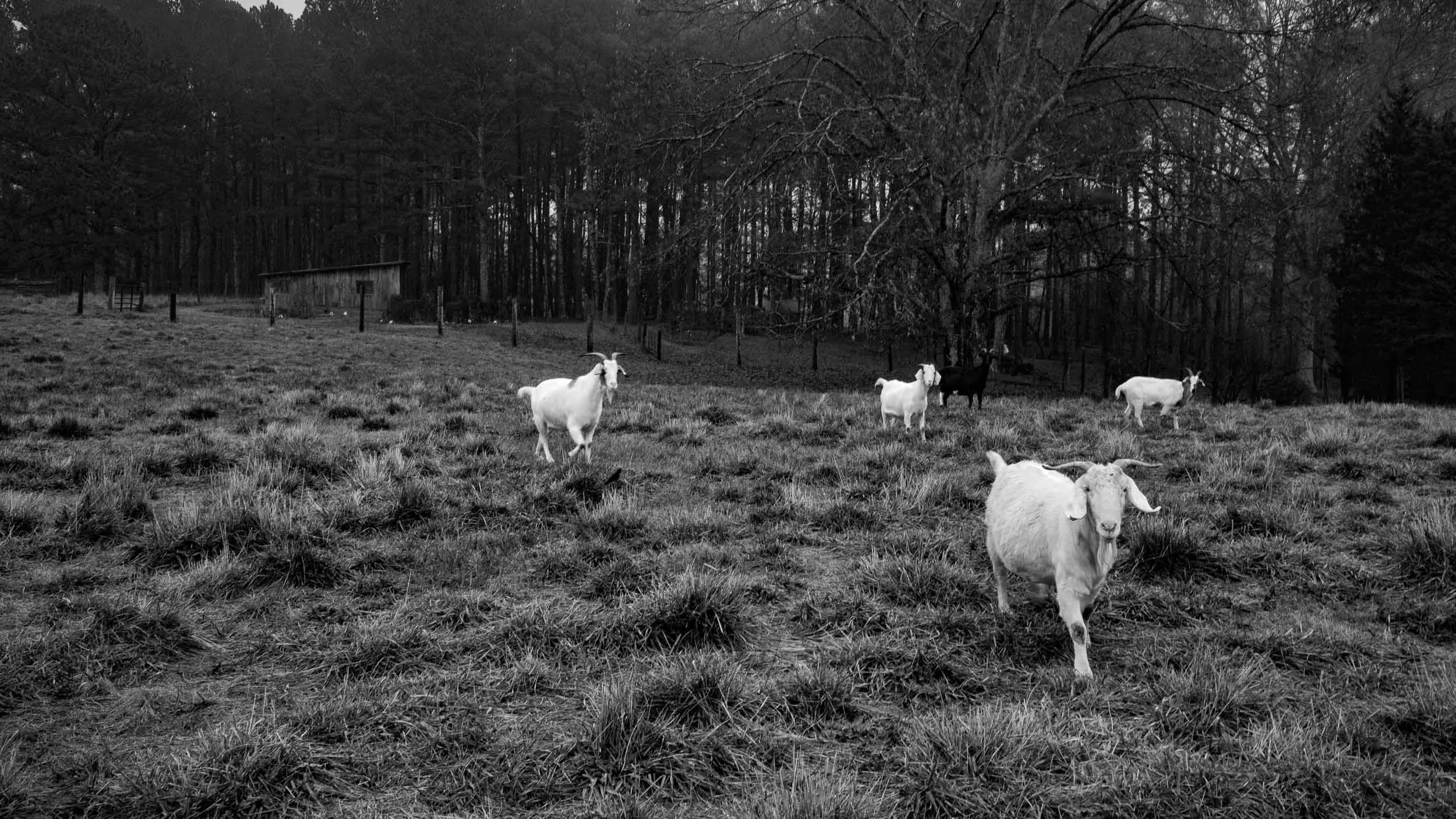 035-0405-0982-1293-131203-DouglasCoulter-131203-Doug Coulter.jpg