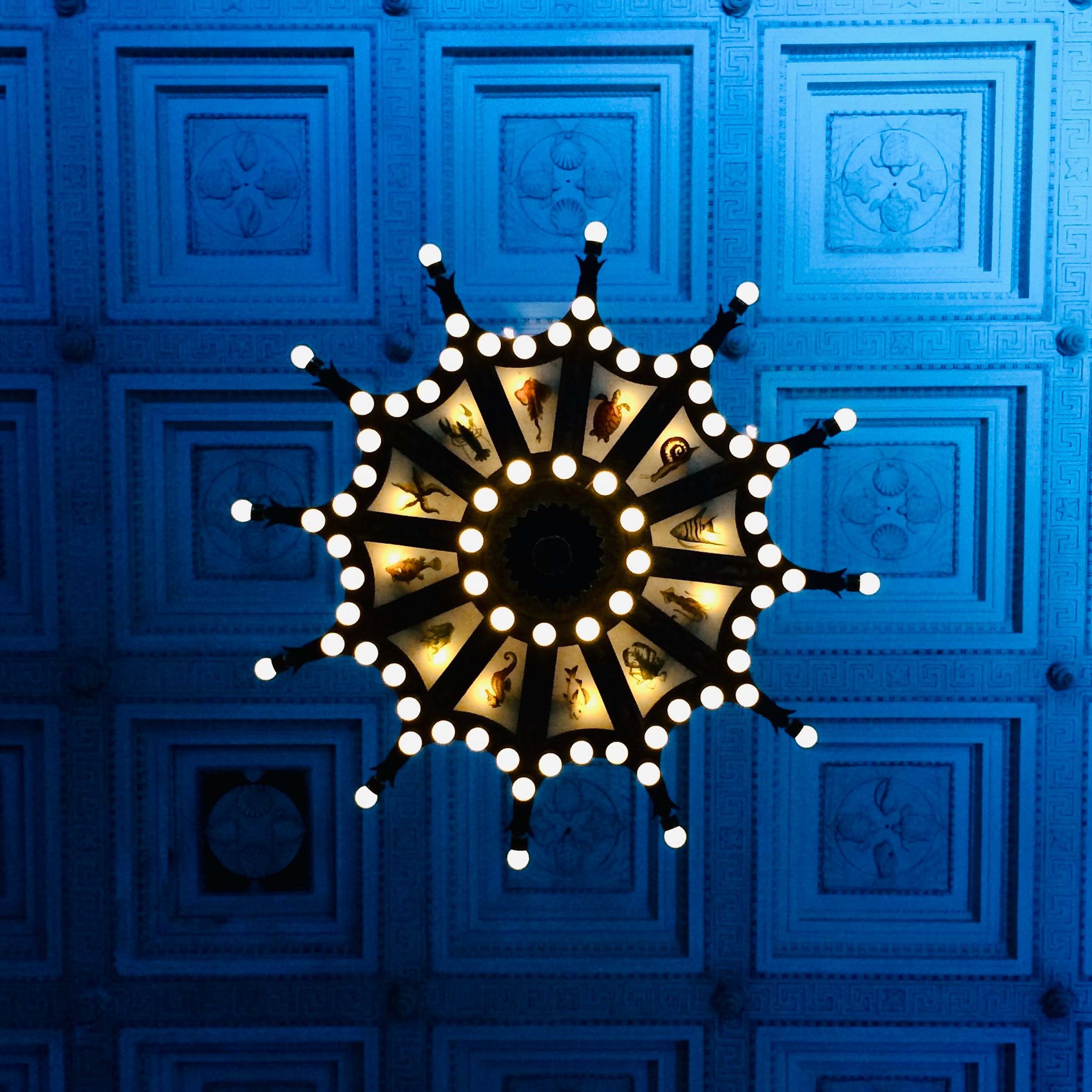 010-306-266-5964-1235-IMG_2074-140808-Doug Coulter-2.jpg