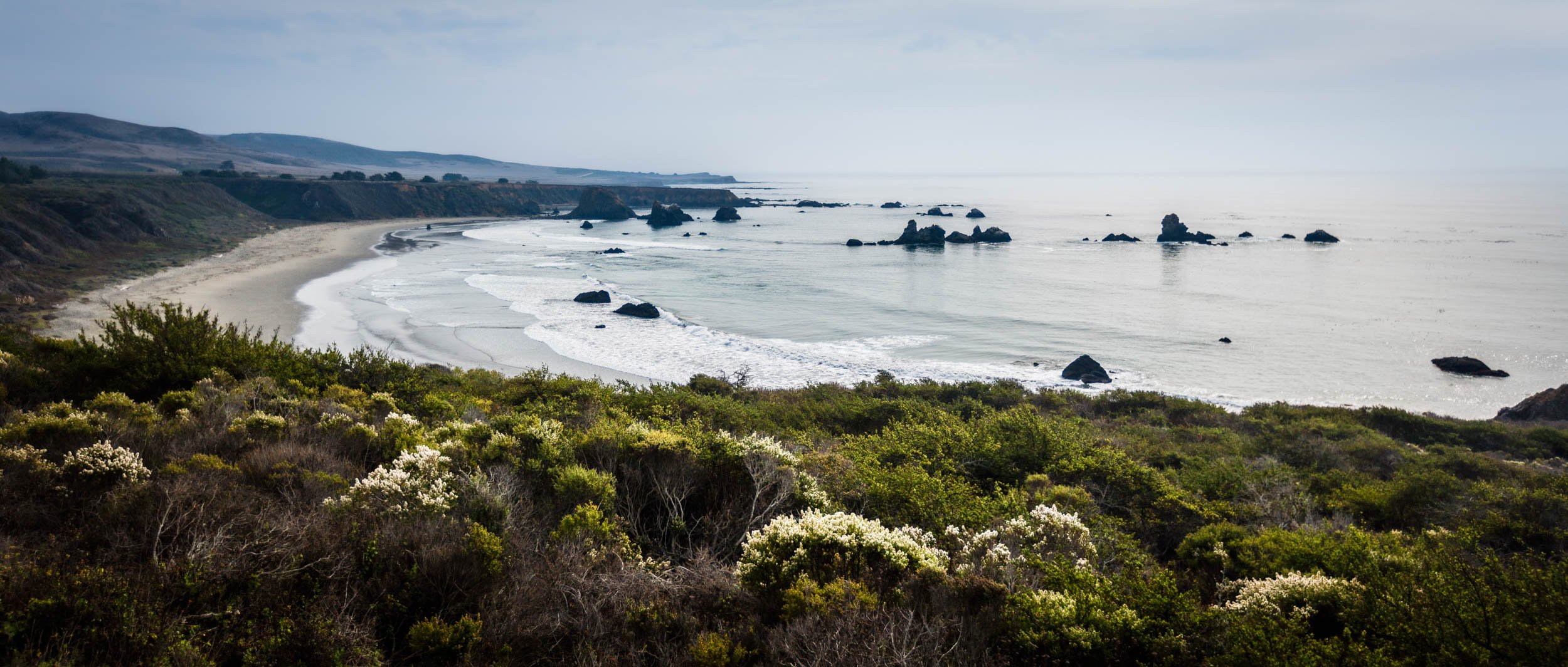 2827-0105-_4DK2531-071109-Doug Coulter-2-2.jpg