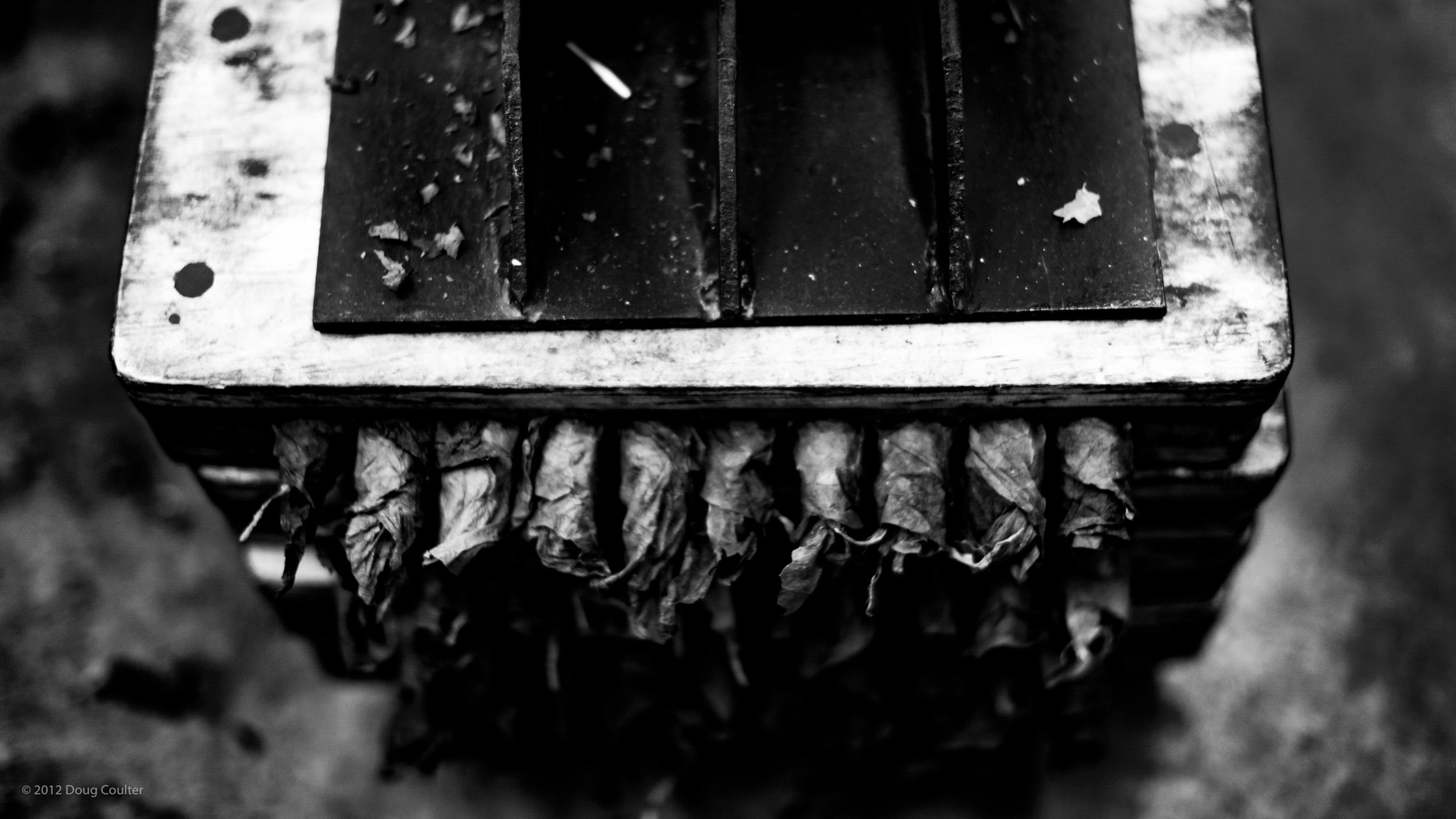 047-1587-0667-944-120221-DouglasCoulter-120221-Doug Coulter.jpg