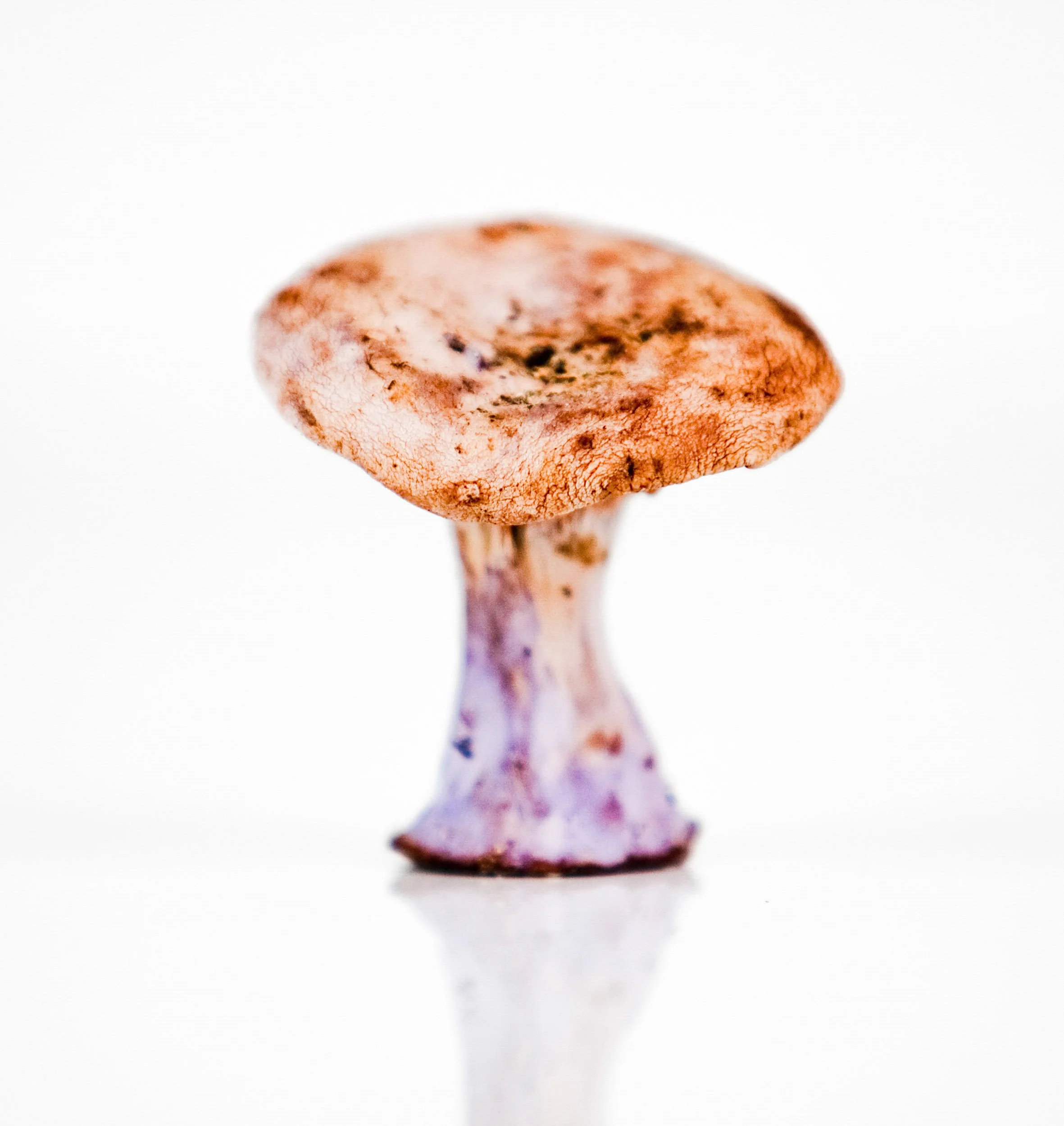 005-170-382-5437-3034-4397-180129-DouglasCoulter-180129-Doug Coulter.jpg