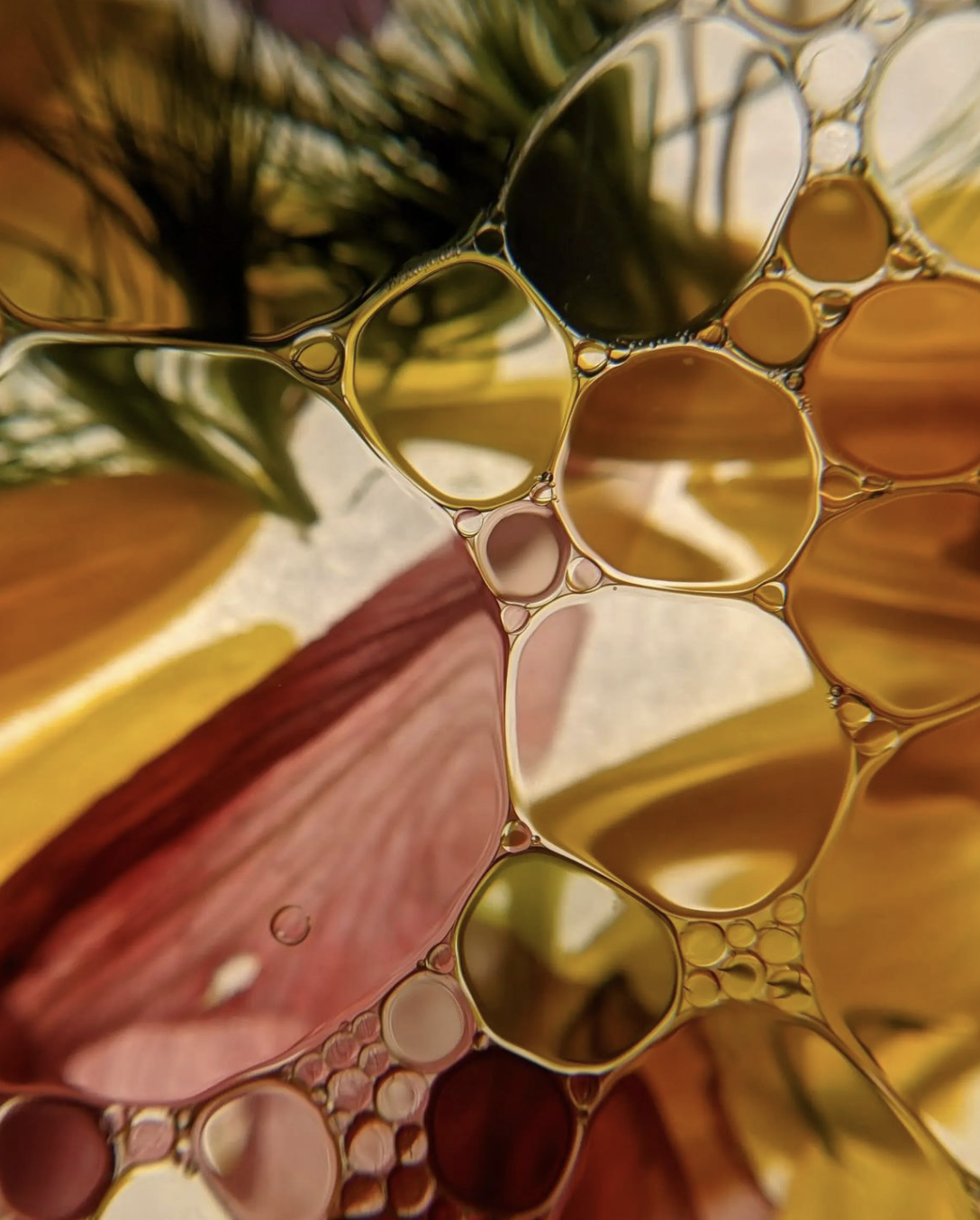 Close-up of colorful soap bubbles with a blurred background.