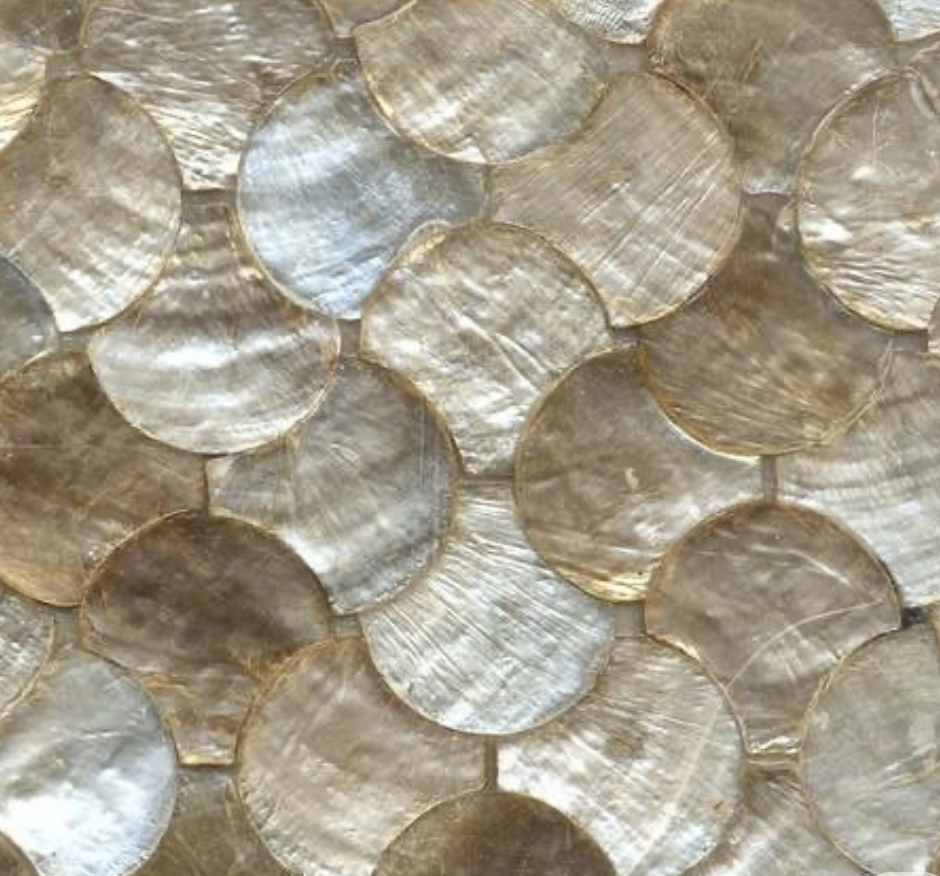 Close-up of overlapping seashells with iridescent surfaces and gold edges.