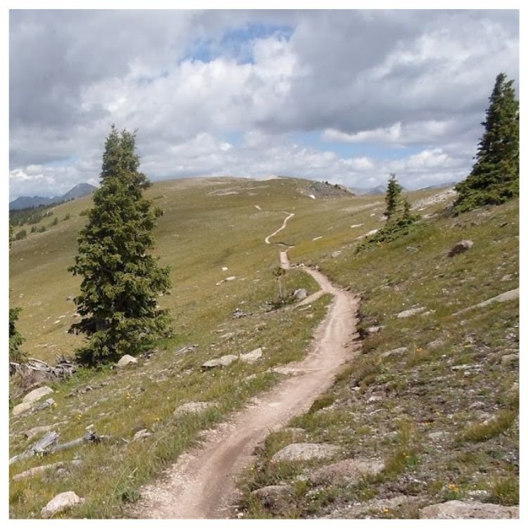 A narrow dirt trail winds through a grassy hillside with scattered rocks and a few tall pine trees, under a partly cloudy sky.