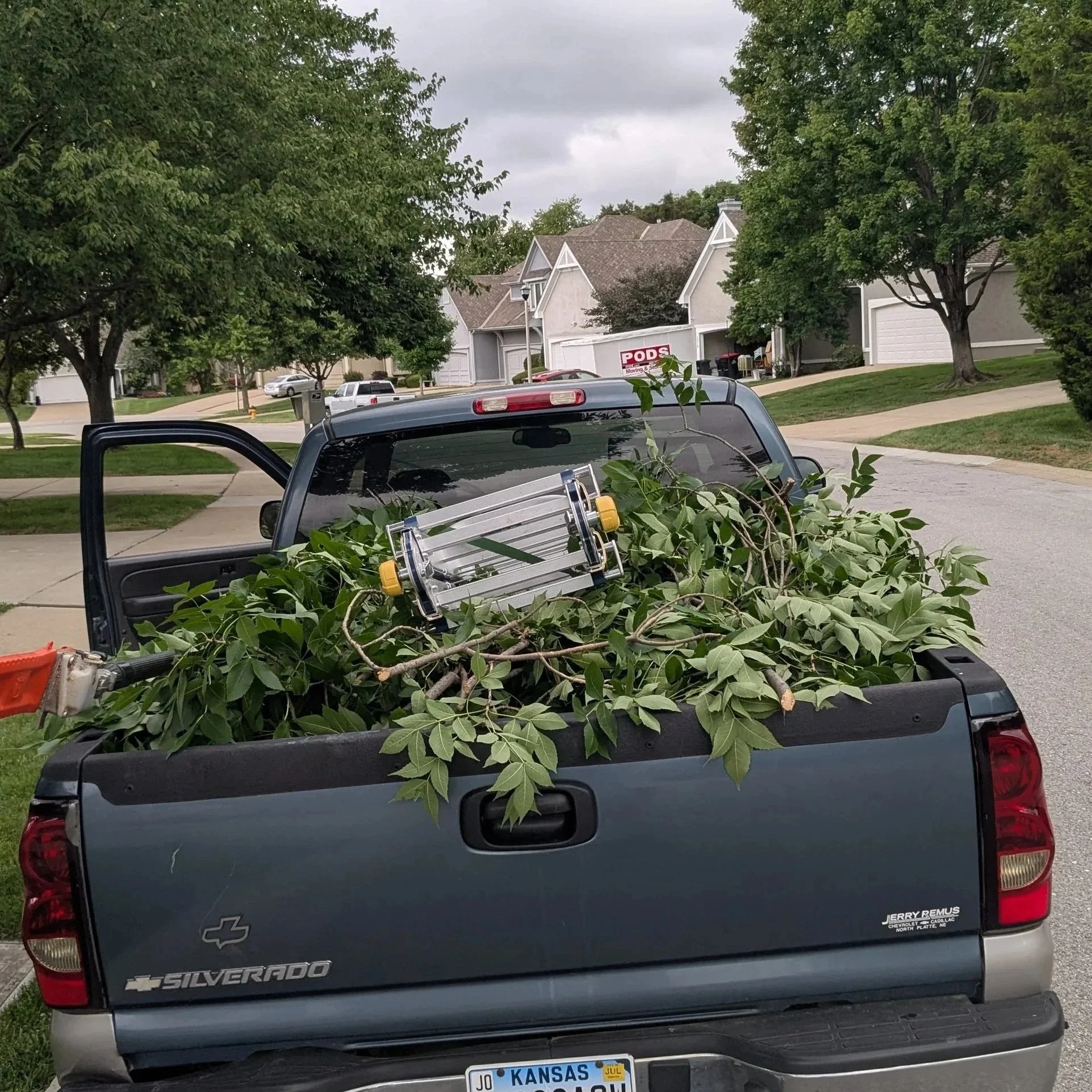 A pickup truck filled with green branches and leaves parked on a residential street. The truck has a Kansas license plate and a trailer hitch. Houses and trees are visible in the background.