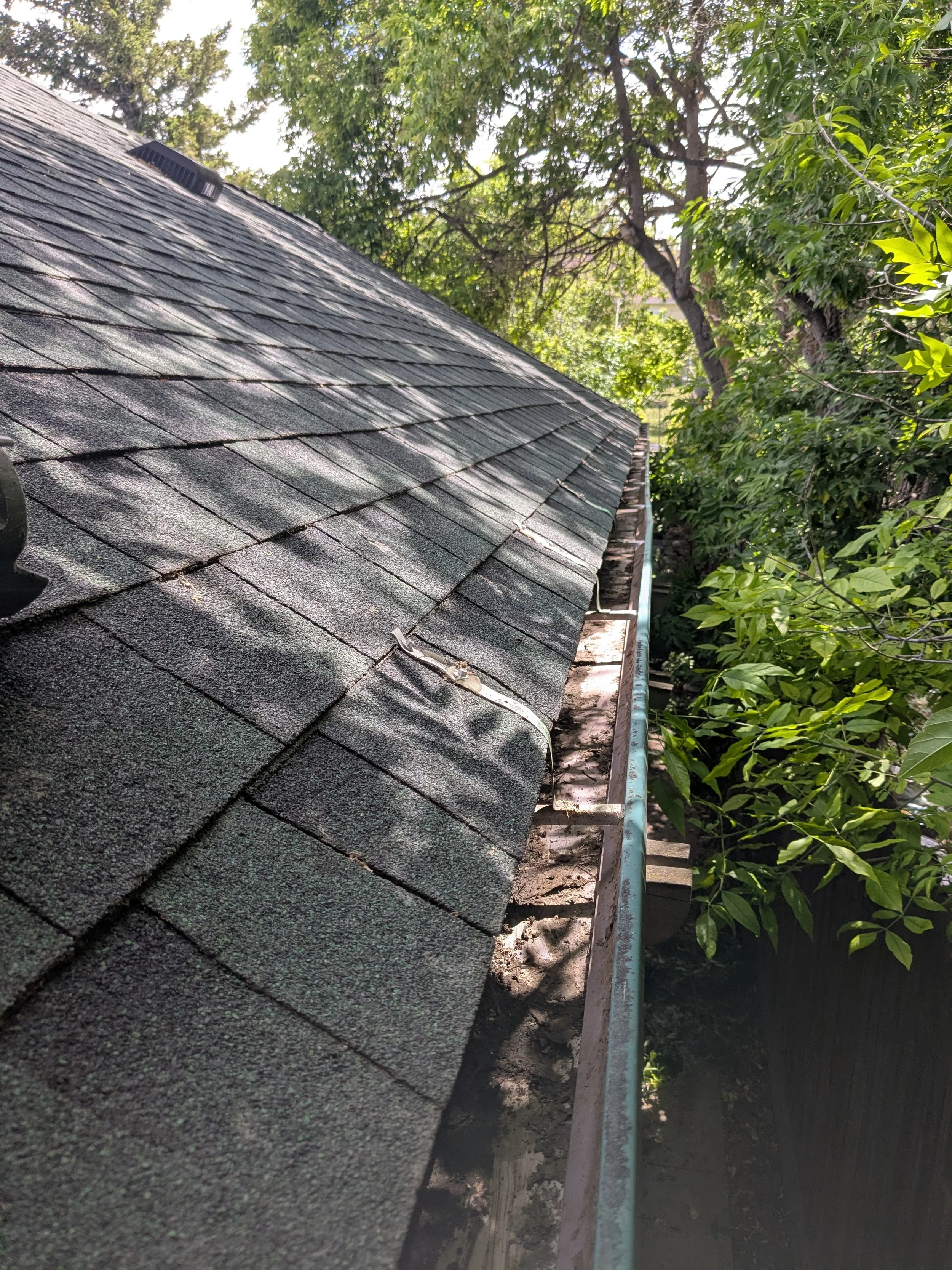 Gutter cleaning