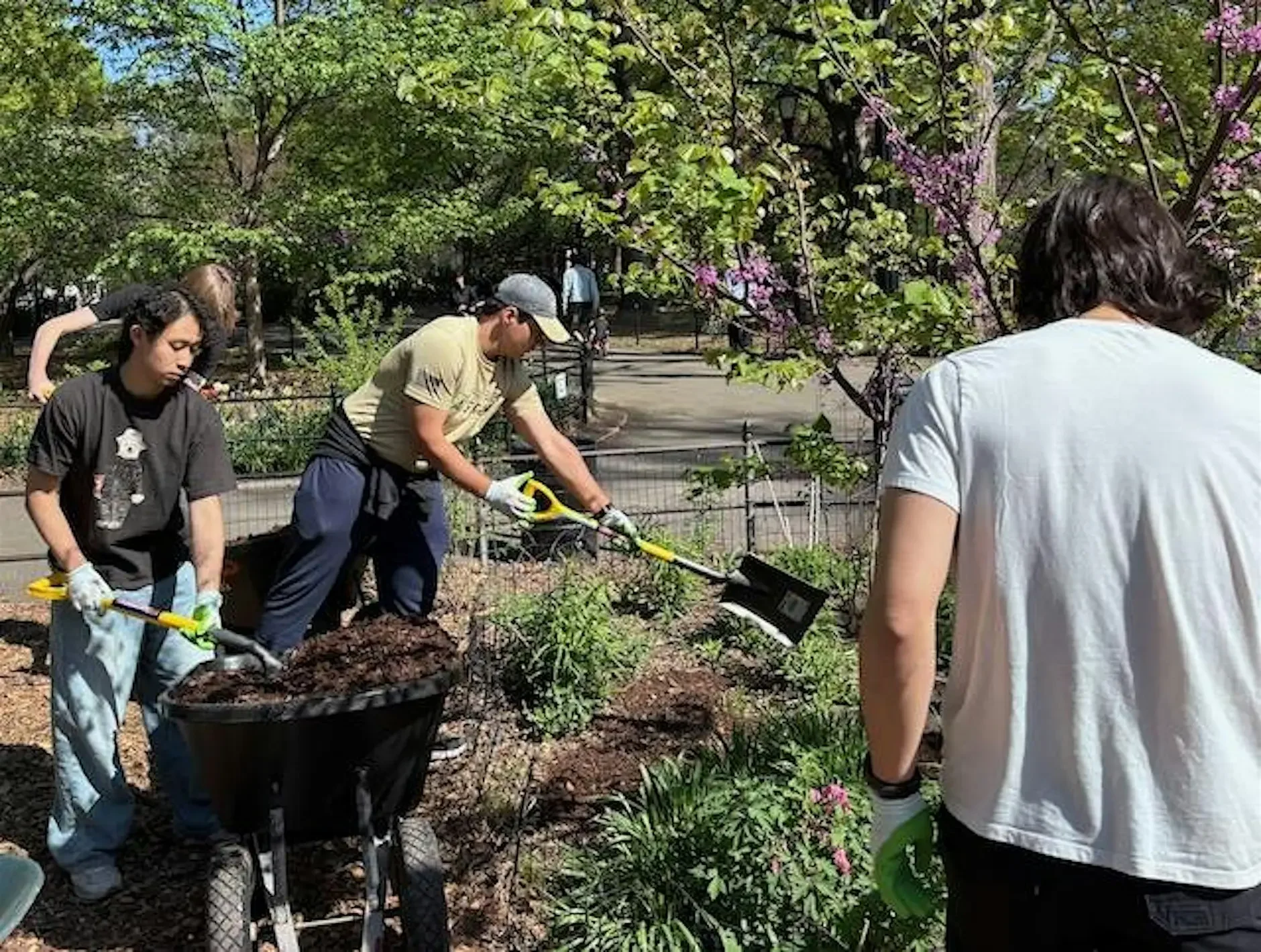 End of May Cleanup and Planting in Tompkins Square Park