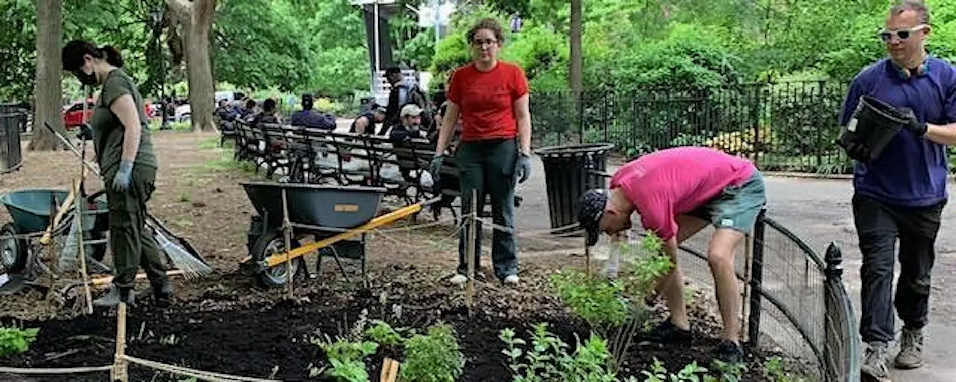 Summer Weeding, Pruning, and Mulching in Tompkins Square Park