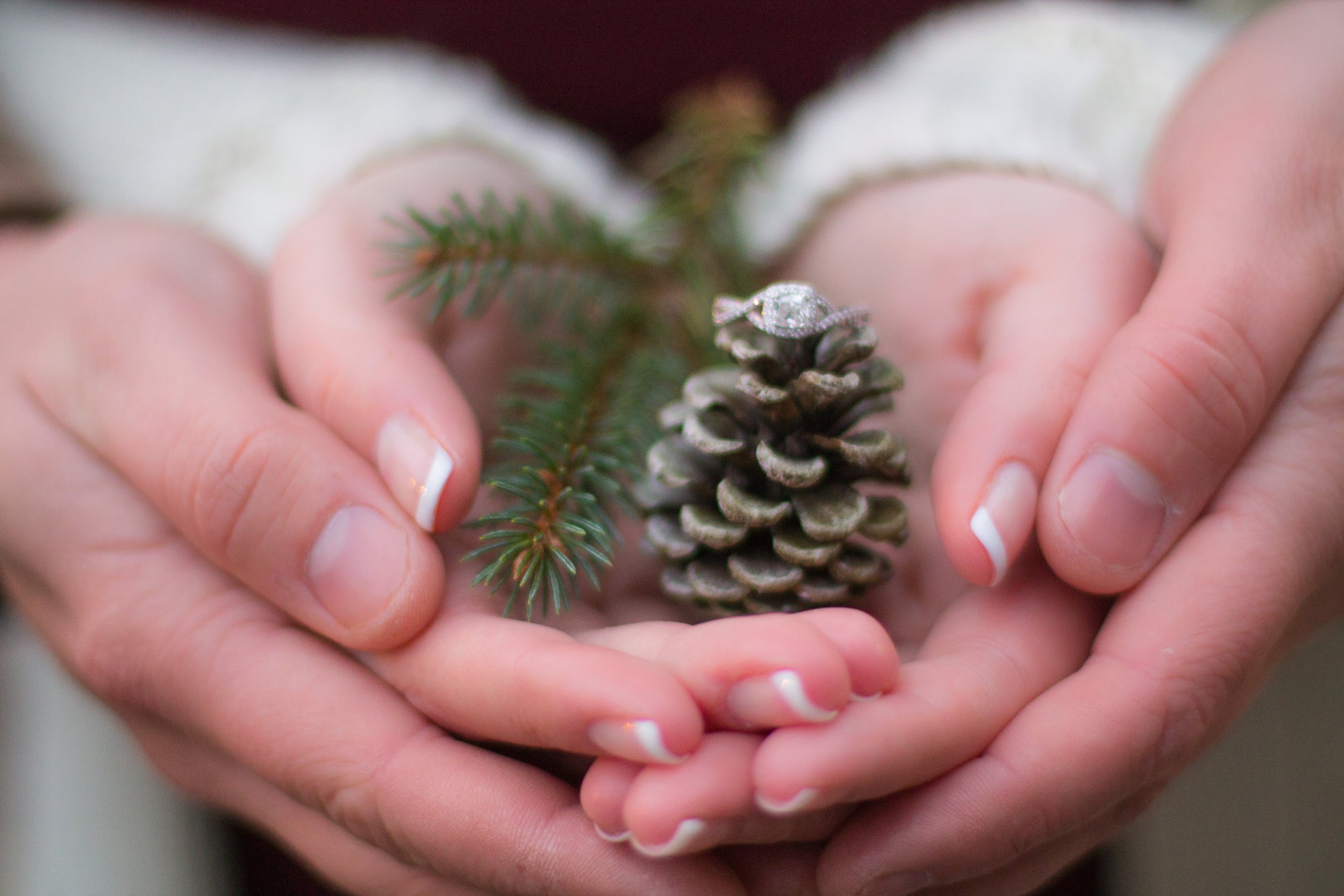 Copy of coloredit-9381.jpg