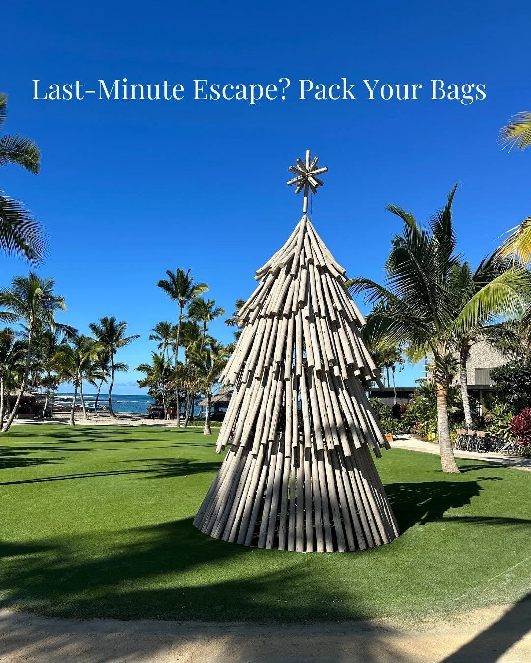 It's not too late to make the most of the holiday season and plan a getaway. There's still availability at some fantastic resorts, whether it's a beach escape or a cozy winter adventure. @waileabeachresort @edgewoodtahoe @pendryparkcity @wildflowerau