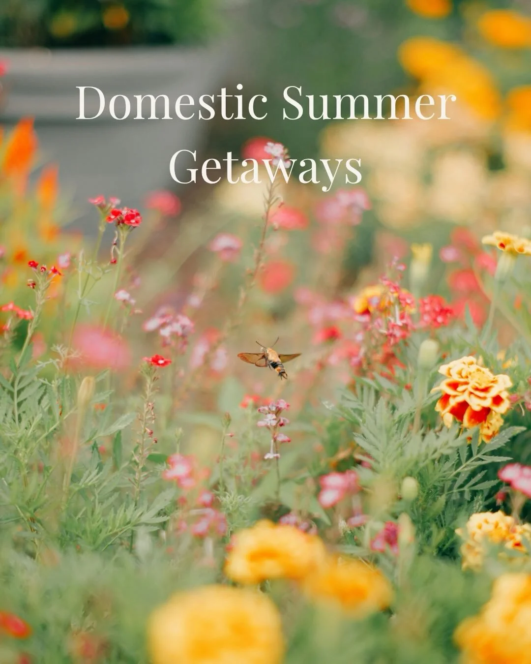 Summer is upon us and there is still time to book a domestic getaway. Most people know us for big international trips, but a lot of what we do is right here in the U.S.

Here are a few ideas to inspire your summer travels. Cape Cod in the summer, Jac