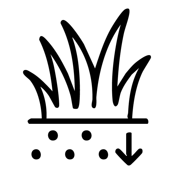 Black and white graphic of abstract grass or plant blades.