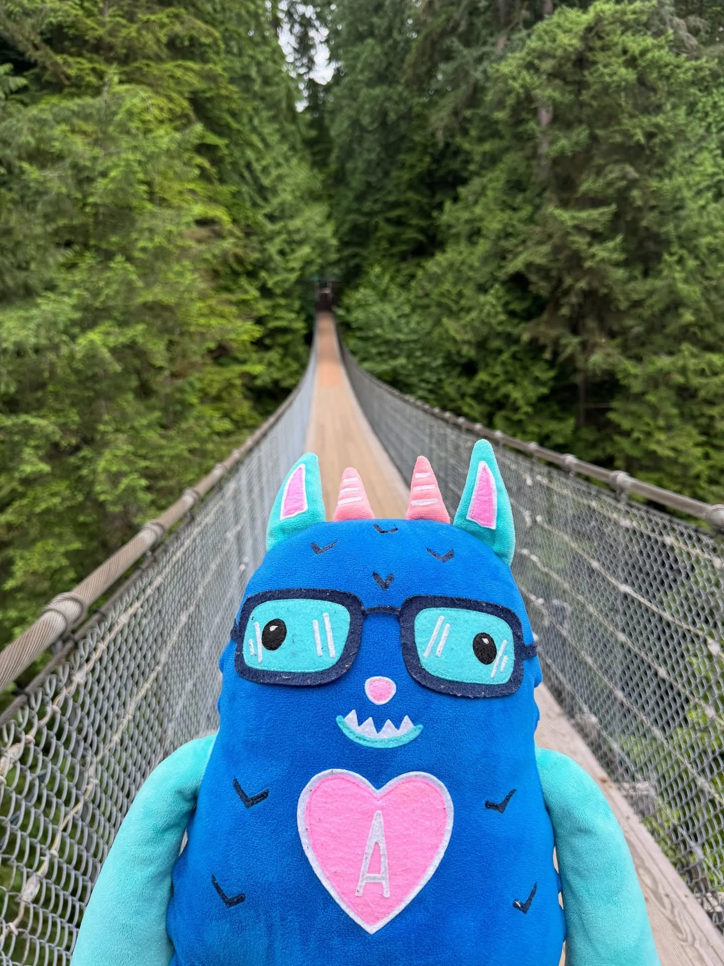 For my birthday, my humans took me to Beautiful British Columbia! It is my first time here, and they picked the most beautiful place to take me to celebrate! I spent my birthday at @capilanosuspensionbridge taking in the beauty of the forest, rivers,