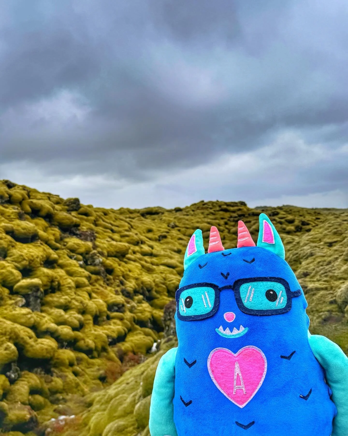These are the Mossy Lava Fields(aka the Eldhraun lava field) located in Kirkjub&aelig;jarklaustur, Iceland. These are the biggest lava flows in the world and occurred during the Laki eruption of the late 1700&rsquo;s.

The fields are 565 square kilom