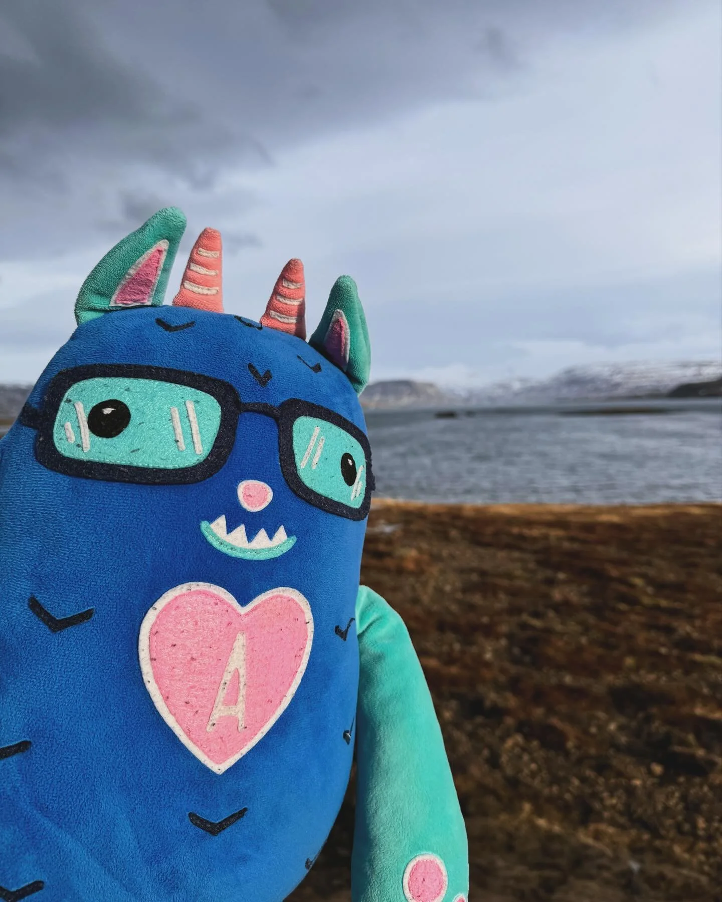 It&rsquo;s been a while, but, I&rsquo;m back out in the world again! This time, my humans took me to Iceland! Have you ever been? 🇮🇸 🏔️ 
.
.
.
#Mittstagrams #Mittstagram #AdventuresOfMitts #Mitts #TravelWithMitts #WheresMitts #Travel #TravelGram #