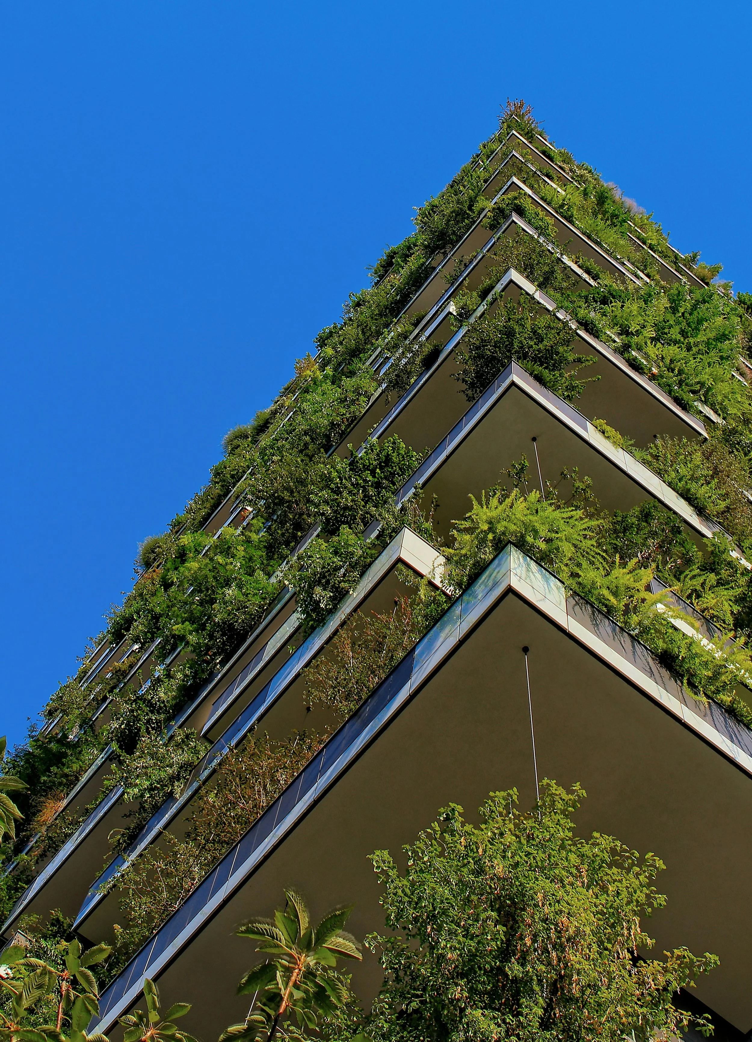 A tall building with multiple floors, each with greenery and plants on the balconies, set against a bright blue sky.