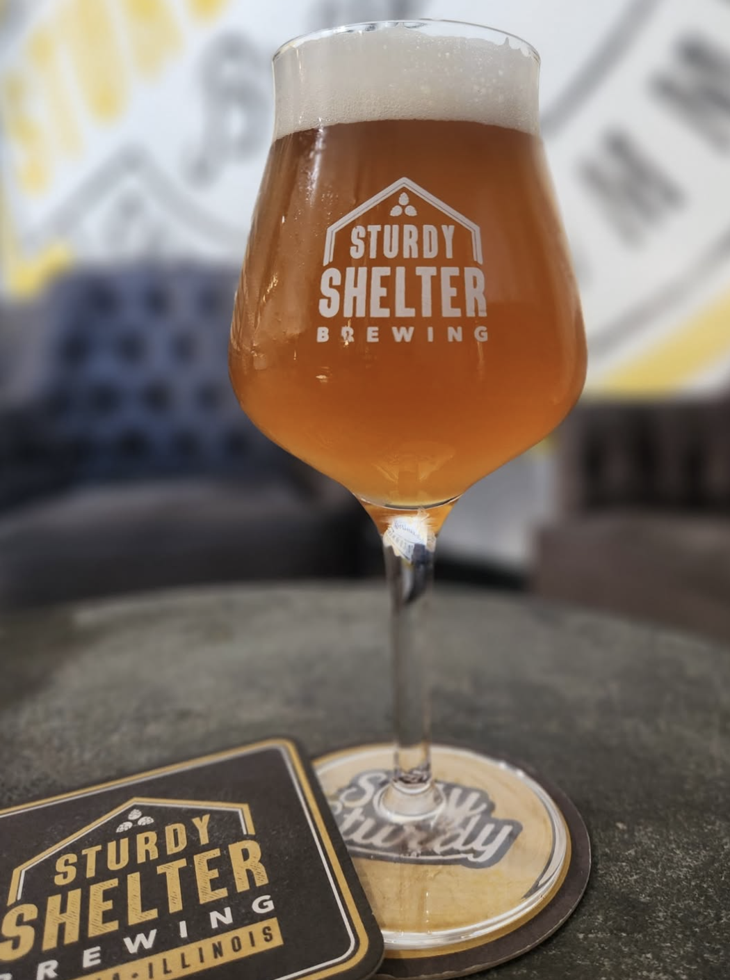 Sturdy Shelter 3rd Anniversary Party