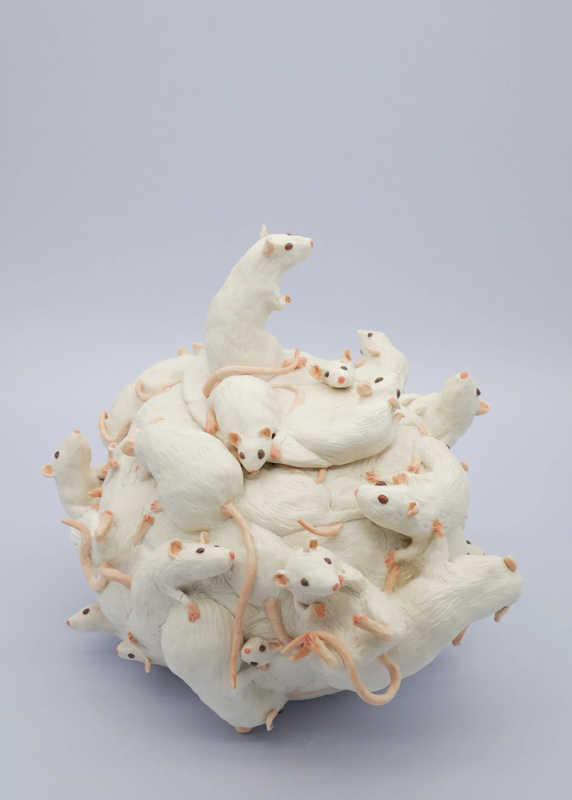 Rat Cookie Jar, 2026