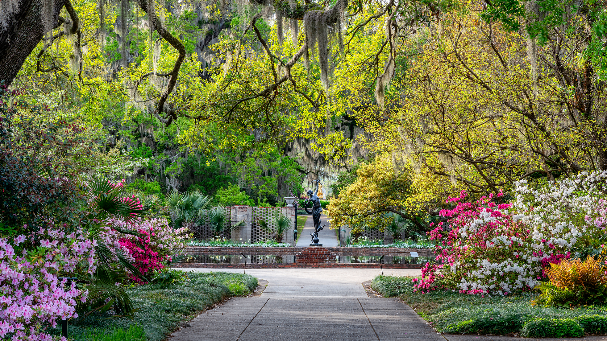 AdobeStock_203613830 - compressed.png