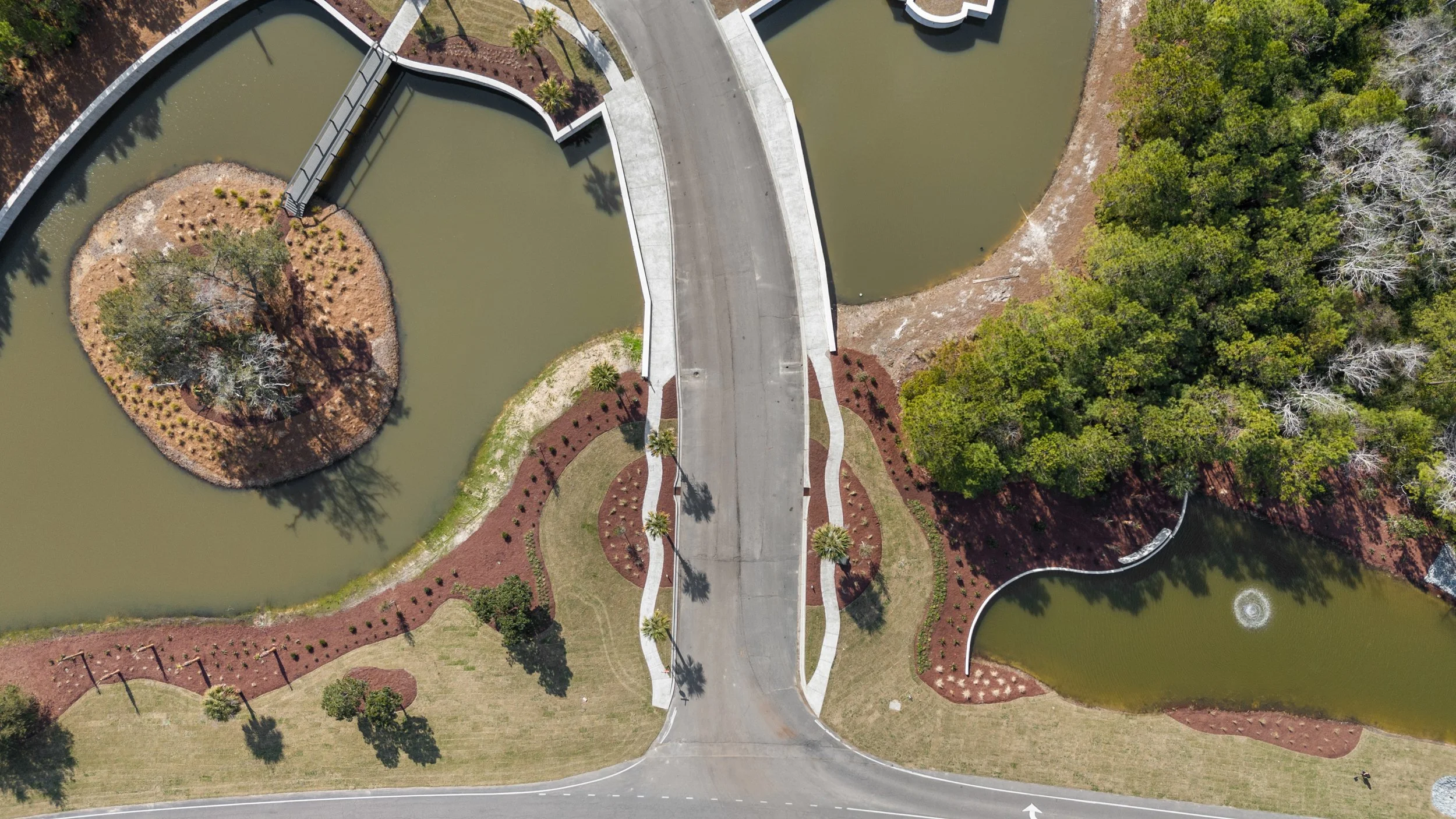 20_dji_20250205134626_0040_d.jpg