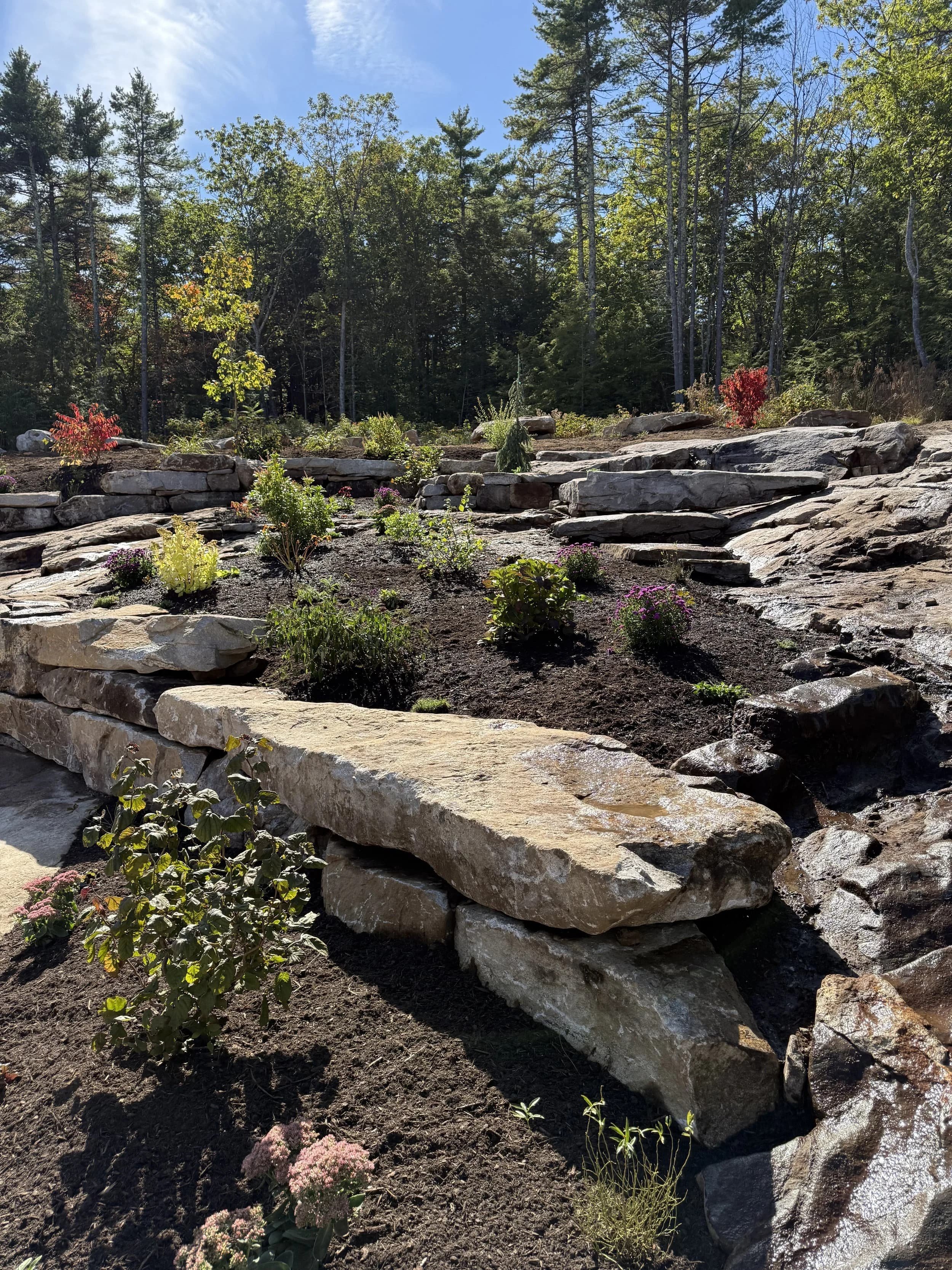 Growing on the Edge: Designing Gardens in Rocky Ledge Landscapes