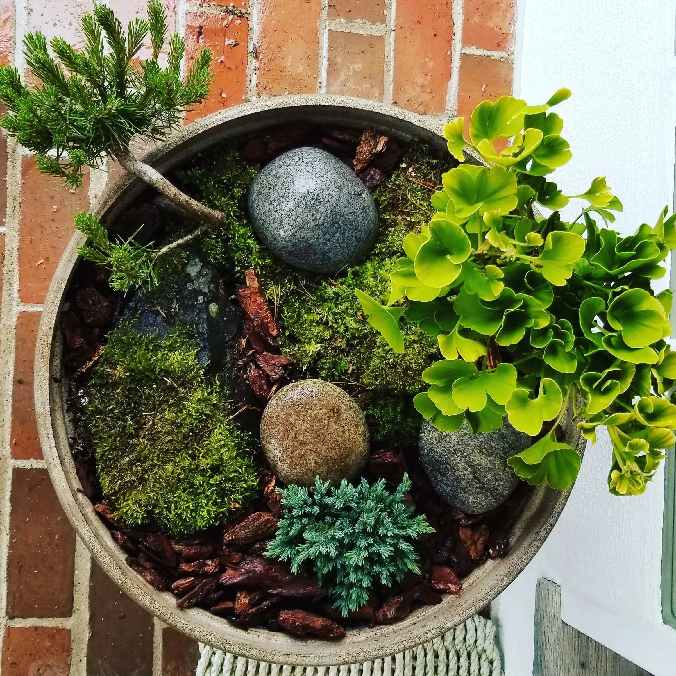 Rotating Container Planting: Fresh Beauty, All Year Long