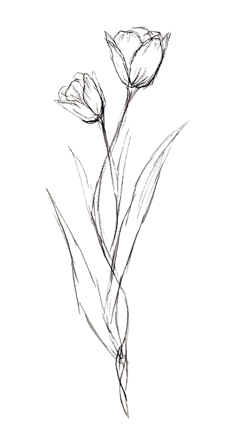Line drawing of two tulip flowers with leaves on a black background.