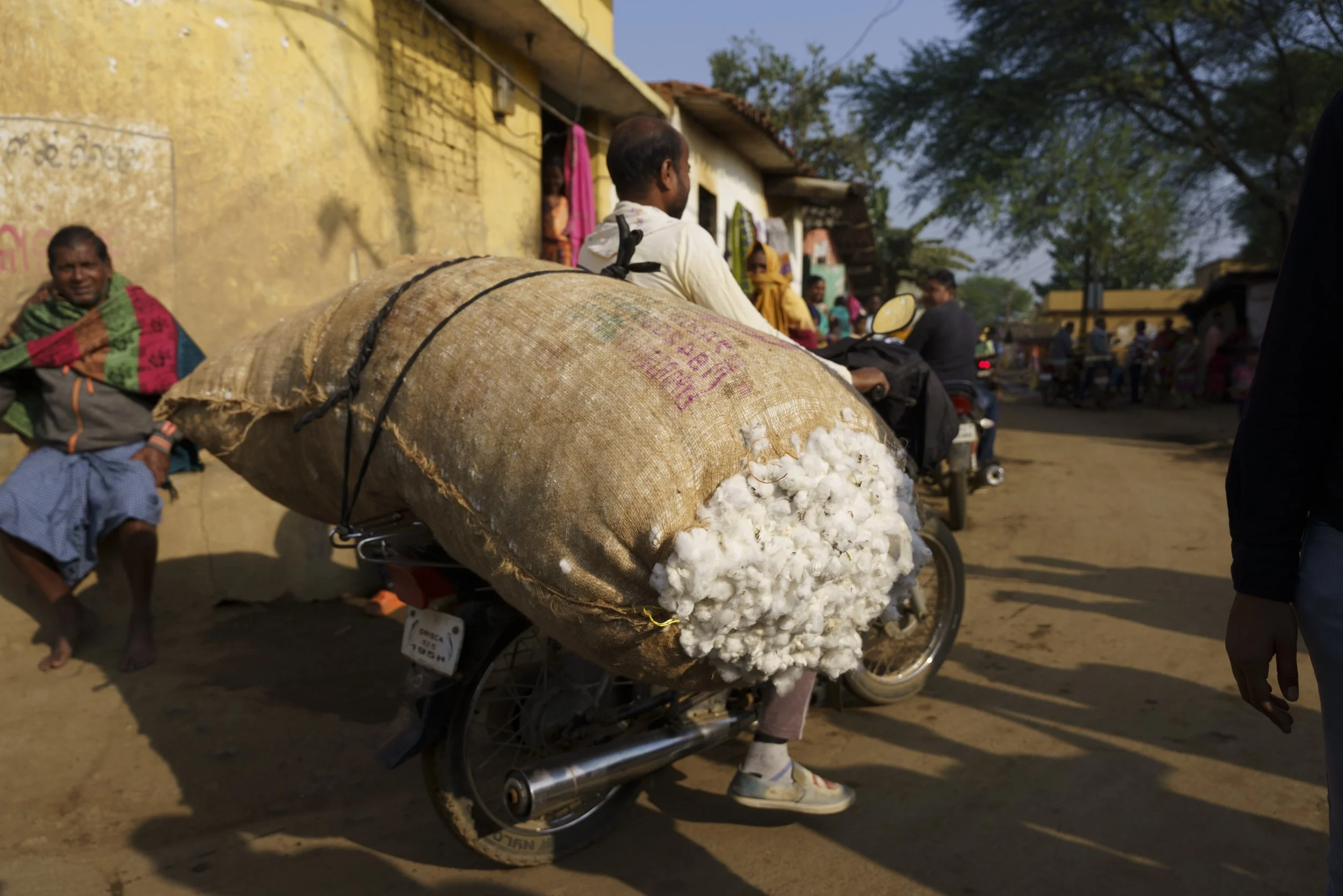 Cotton is transported to the warehouse, Odisha, India