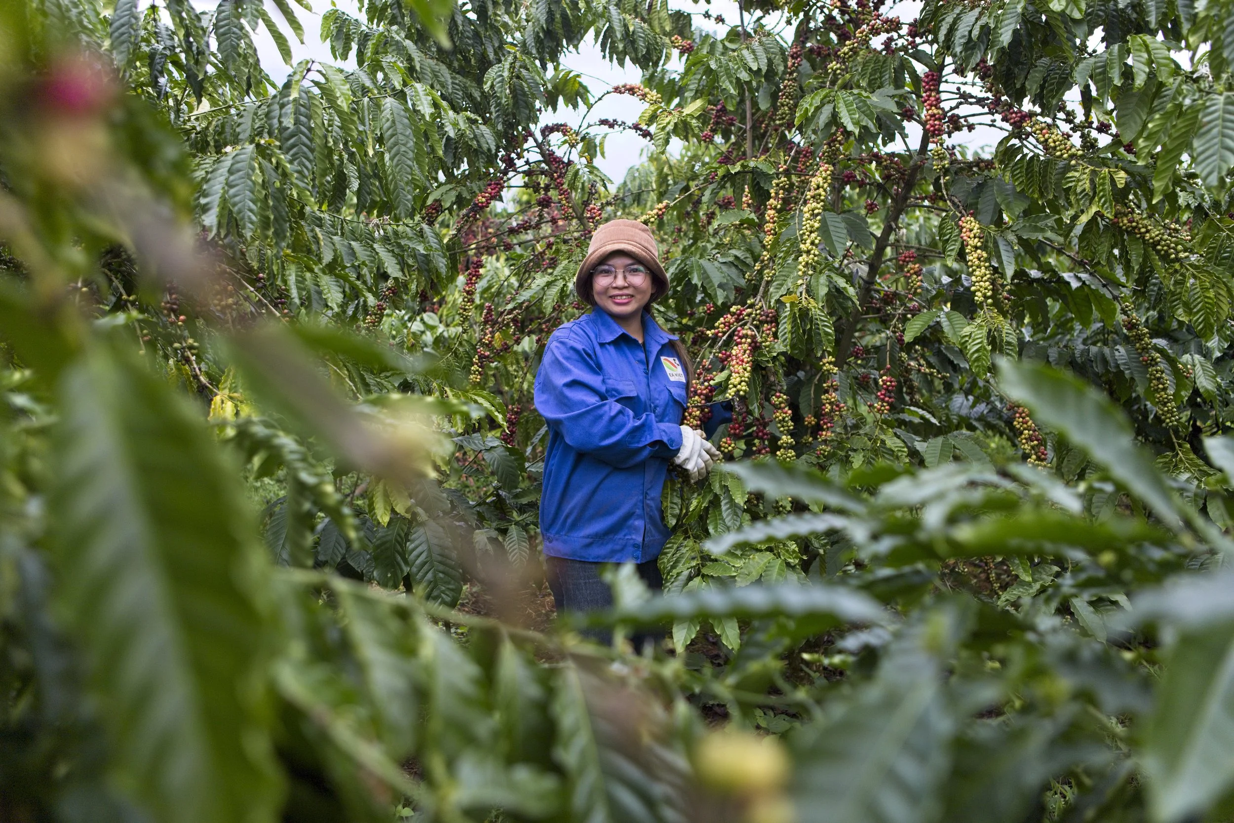 Nguyen Chi Le Thuy at the Ea Kiet coffee cooperative in Vietnam
