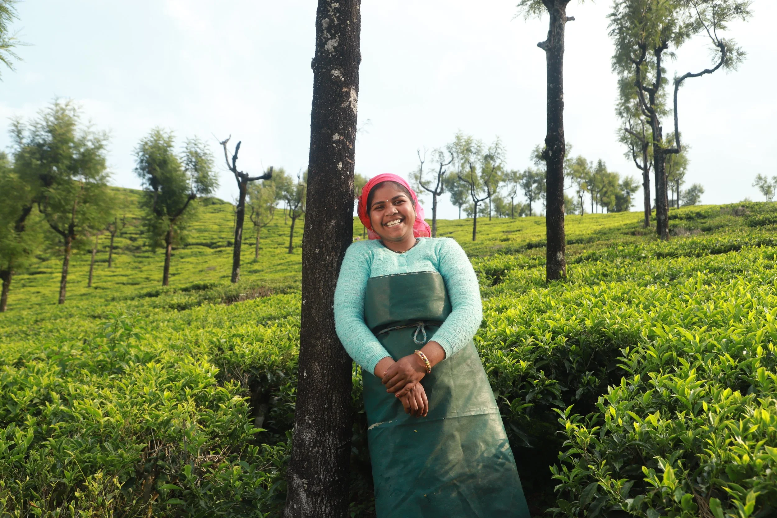 Ms Hassina, Tea Leaf Plucker at at Stanes Amalgamated Estates, South India