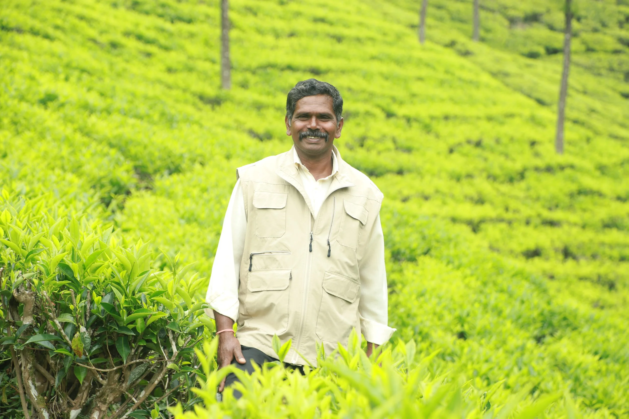 Mr Murugaraj, Supervisor and member of the Fairtrade Premium Committee at Stanes Amalgamated Estates, South India