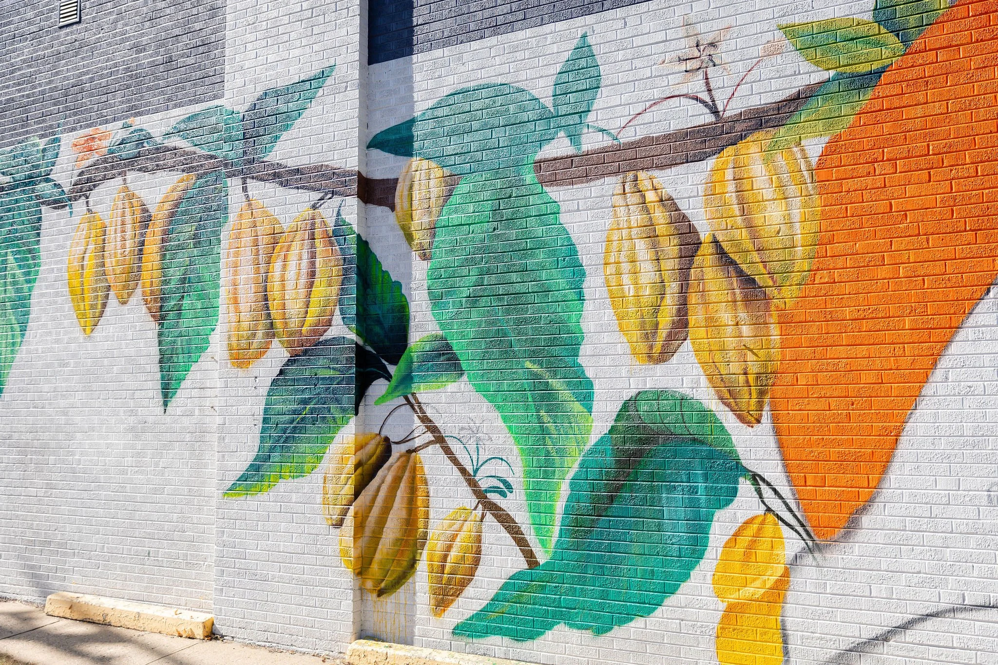 Mural_Denver '24_Cocoa Detail_PC to Alvaro Saucedo_0O9A3881.jpg