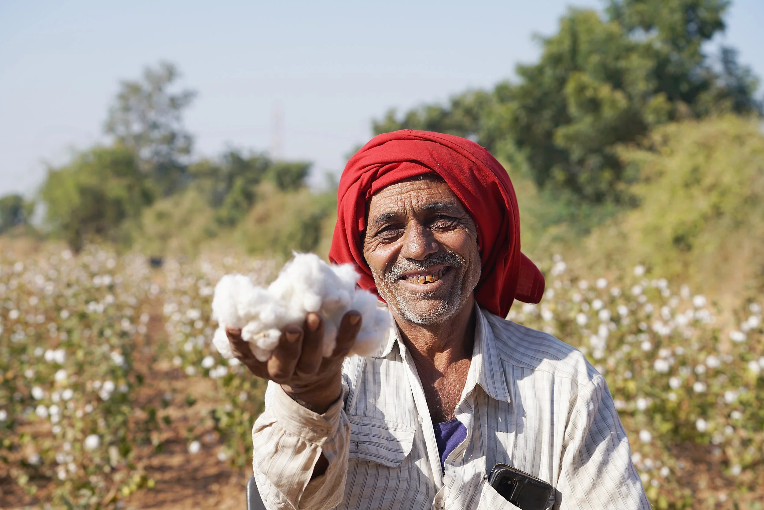 Cotton producer Mr Kanjibhai Karmanbhai Mor showcasing the cotton produced in his field, Rapar and Dhrangadhra Farmer Producers Company, India
