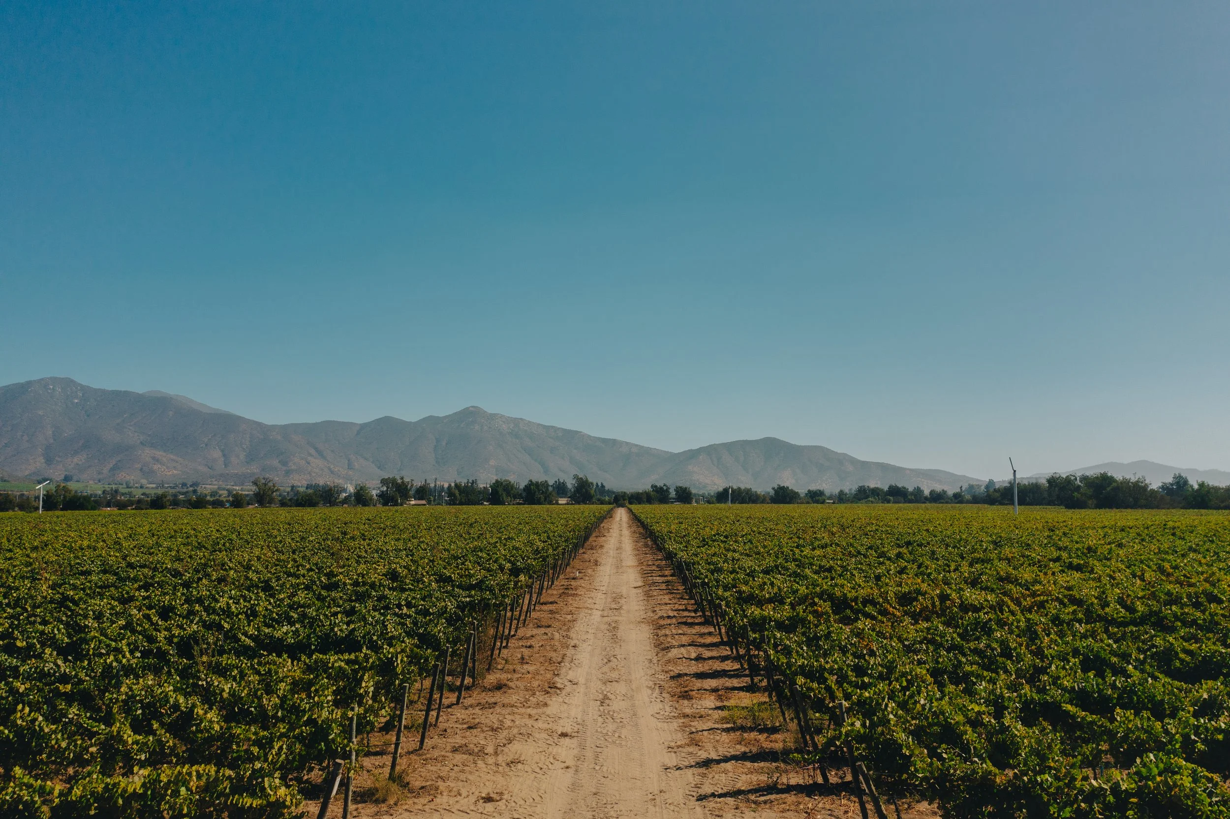 Emiliana Organic Vineyards, Chile