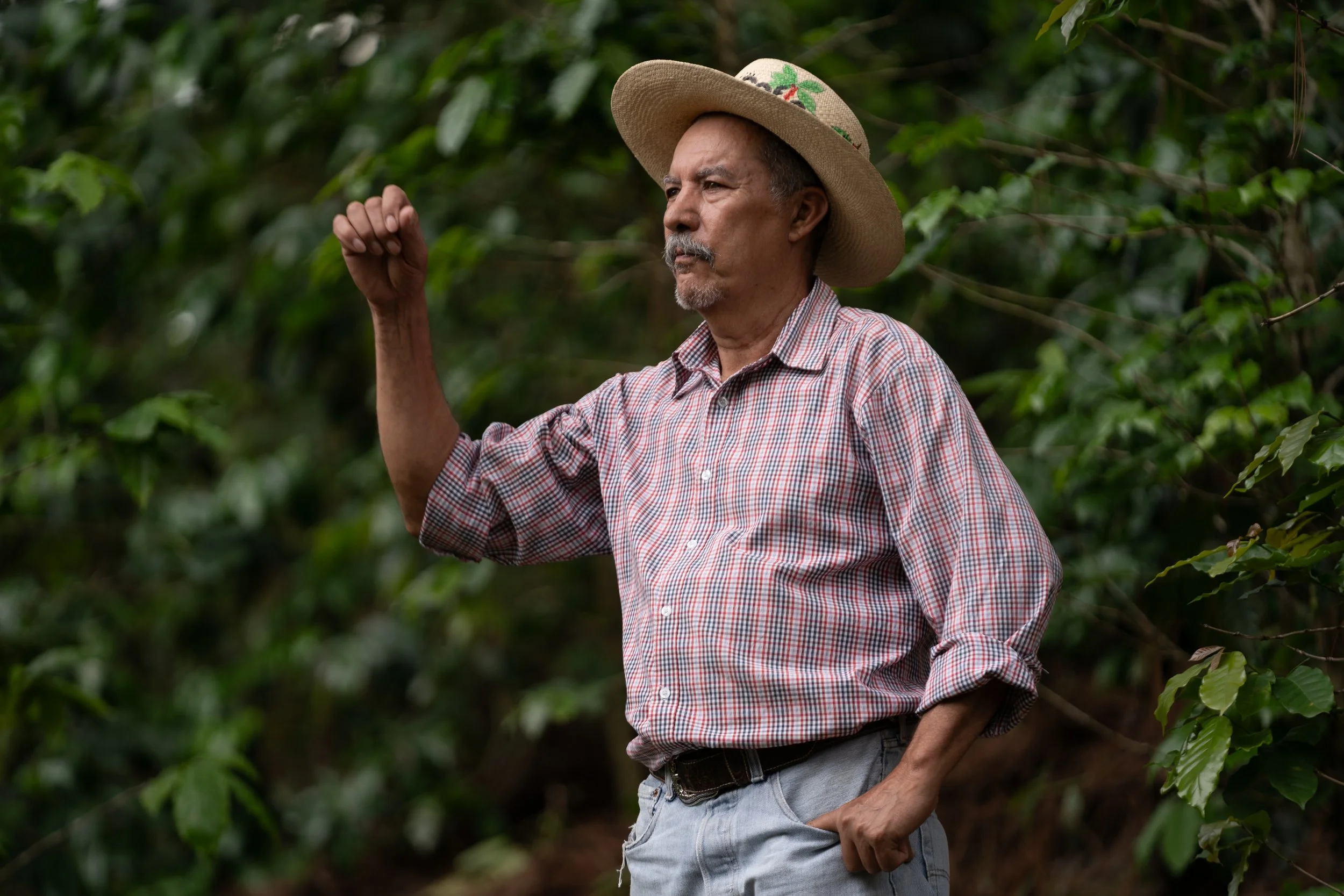Adelmo Paz Alvarado, a coffee producer with CAFICO cooperative, Honduras.