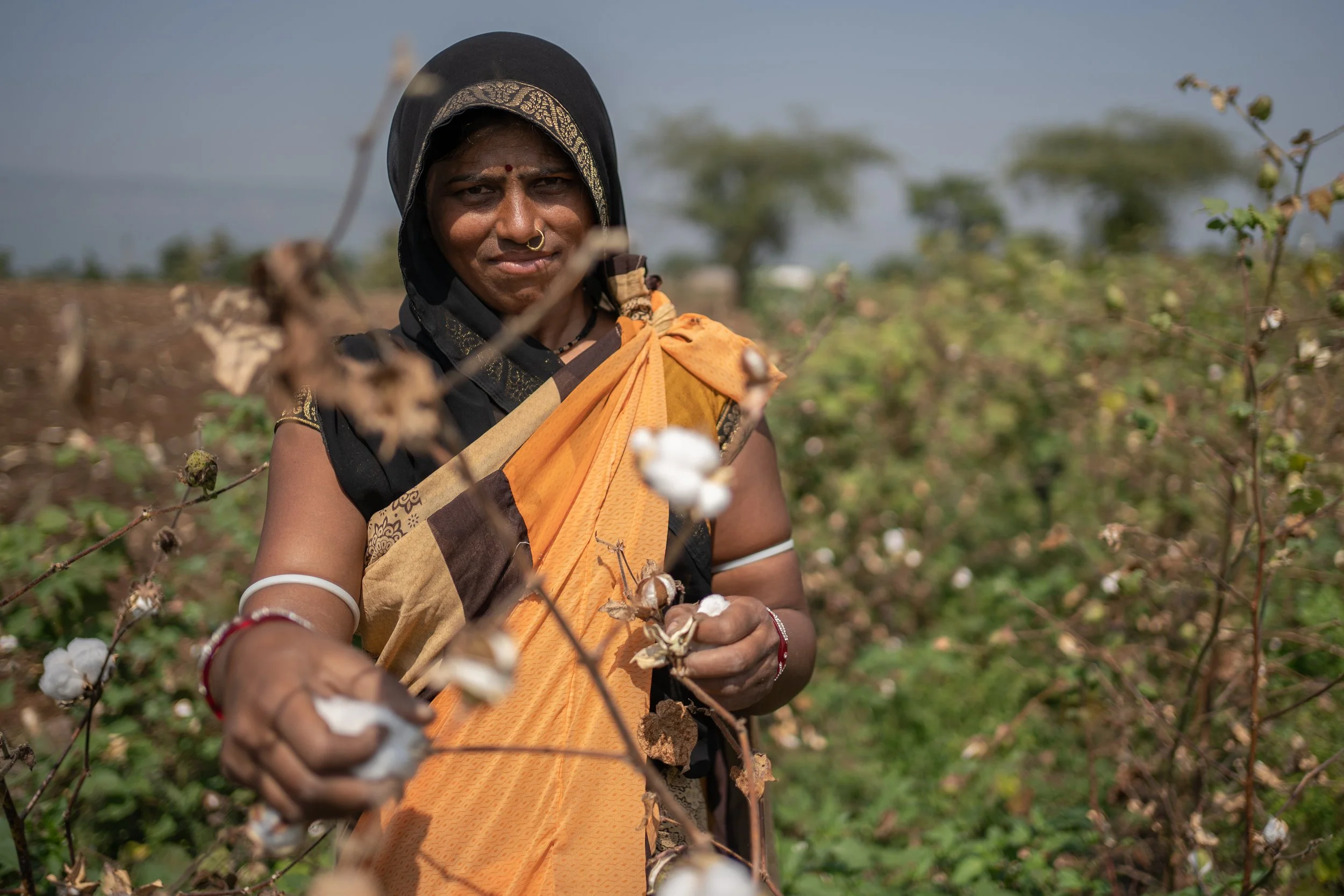 Organic cotton farmer Santu Bai, Pratibha-Vasudha cooperative, India