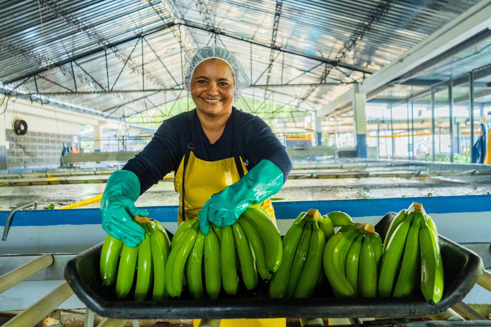 "Thanks to all the benefits provided to women working on a Fairtrade-certified plantation, I have been able to support my children and become an independent woman."
– Marelvis Fajardo Severiche, Inversiones TIN SAS, Colombia