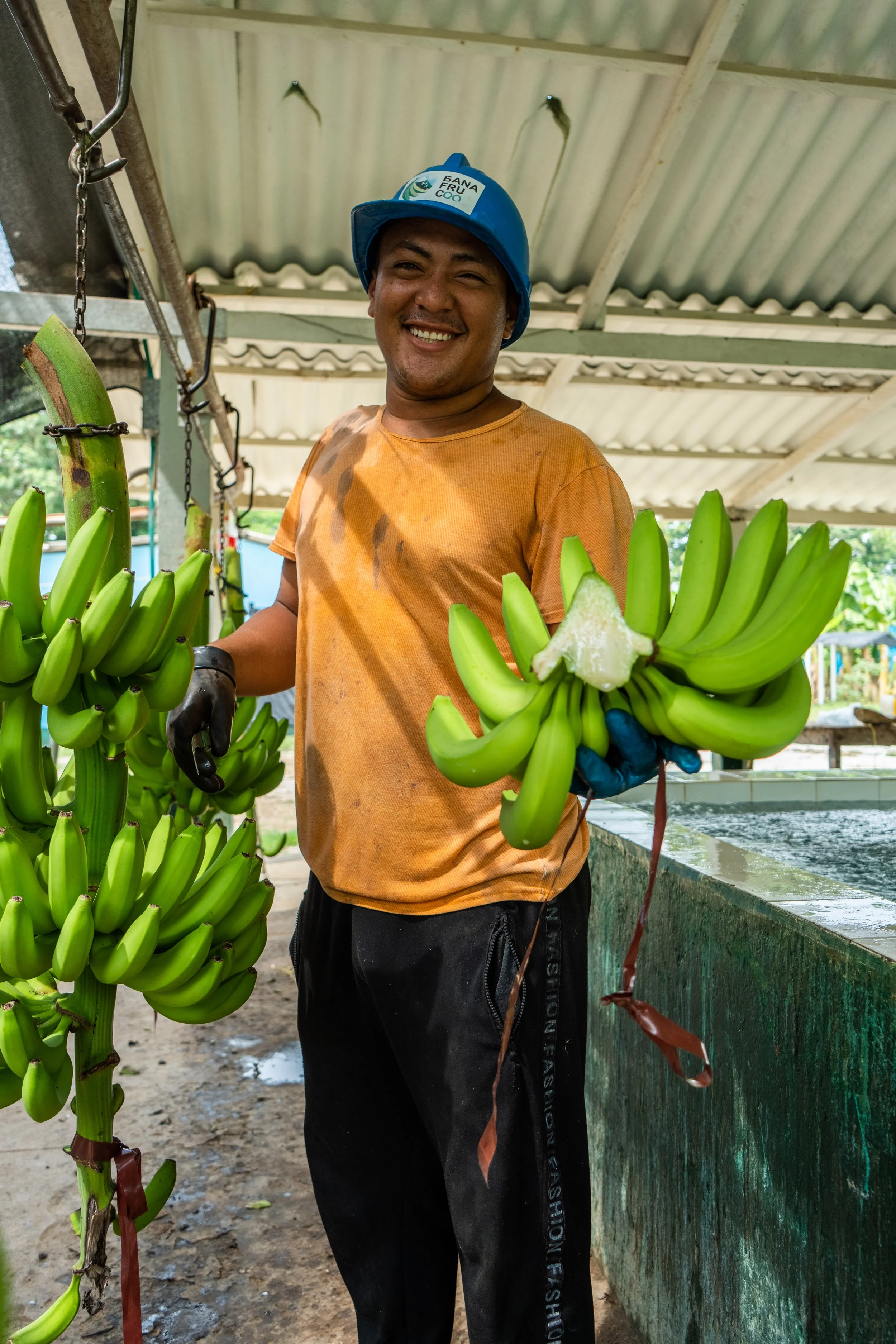 Adalberto De La Hoz, BANAFRUCOOP, Colombia