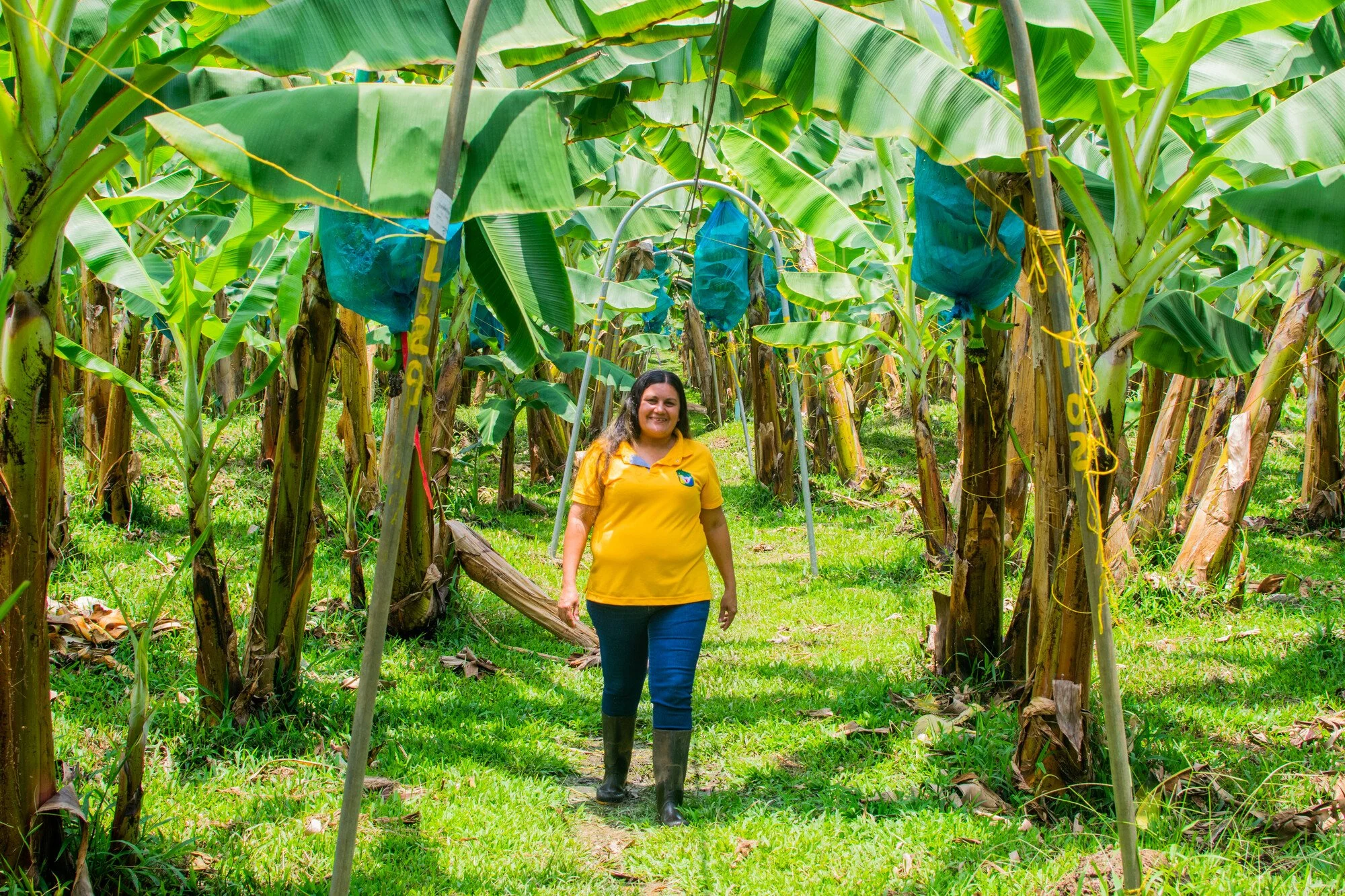 Luz Pabón, Inversiones TIN SAS, Colombia 