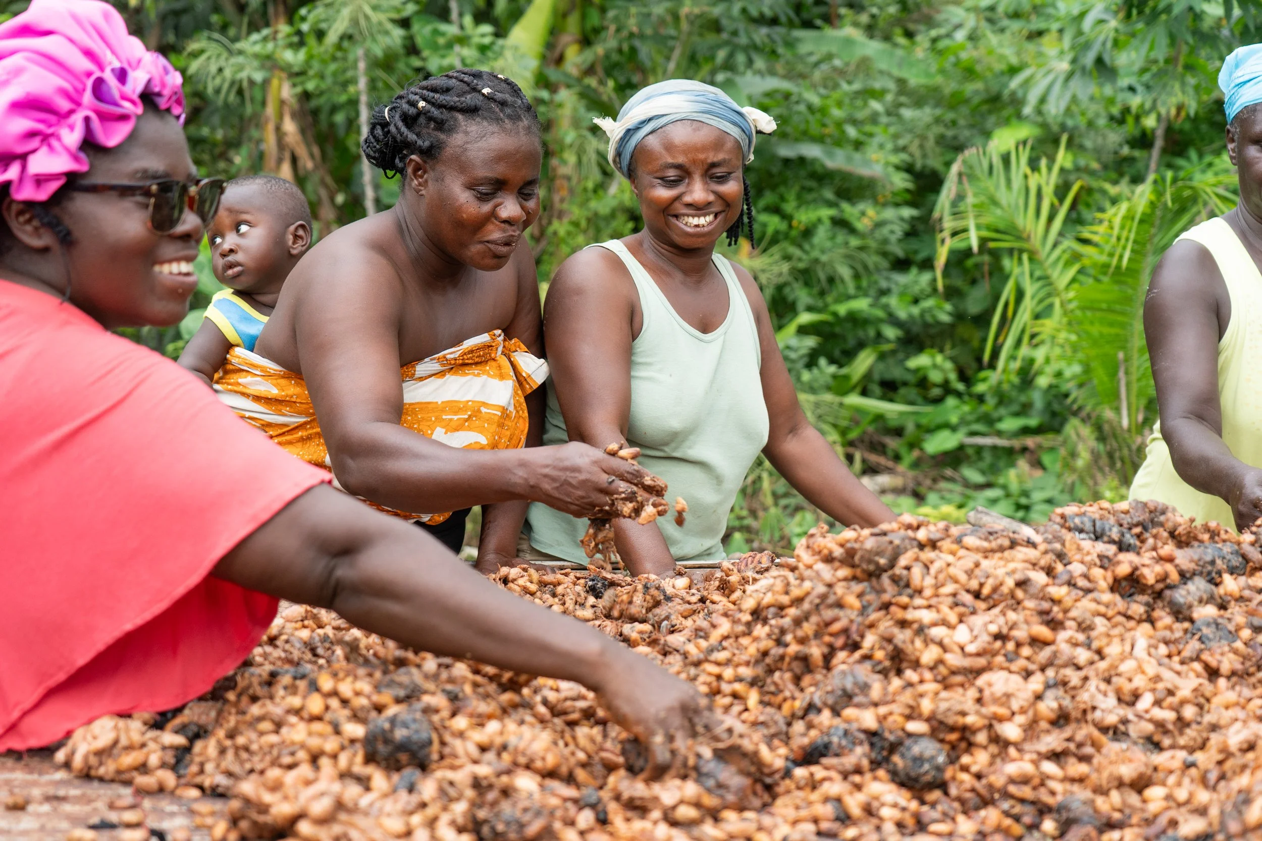 Cocoa farmers, including Mrs. Salome Mensa and Mrs. Dankyira Jemimah (center), Kuapa Kokoo cooperative, Ghana