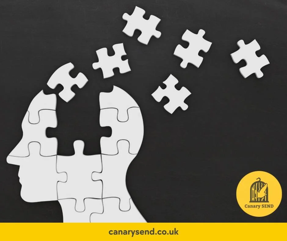 The Quiet Work of Recovery: What Autistic Burnout Can Teach Us About Rest