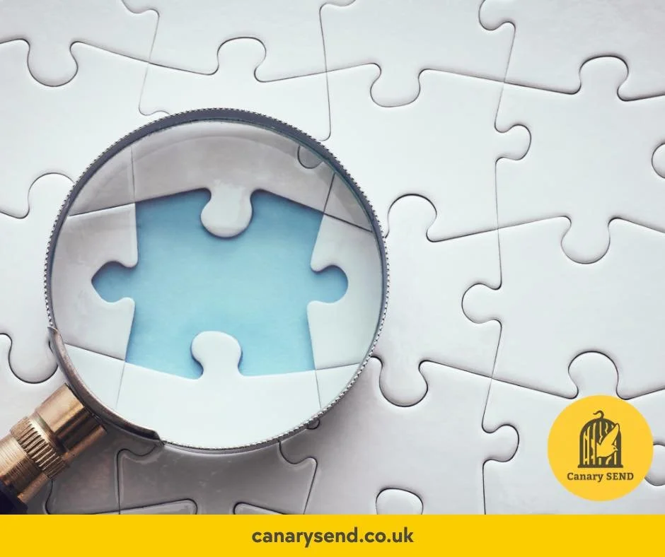 The Things Professionals Miss: What “Fine in School” and One-Hour Assessments Will Never Tell You