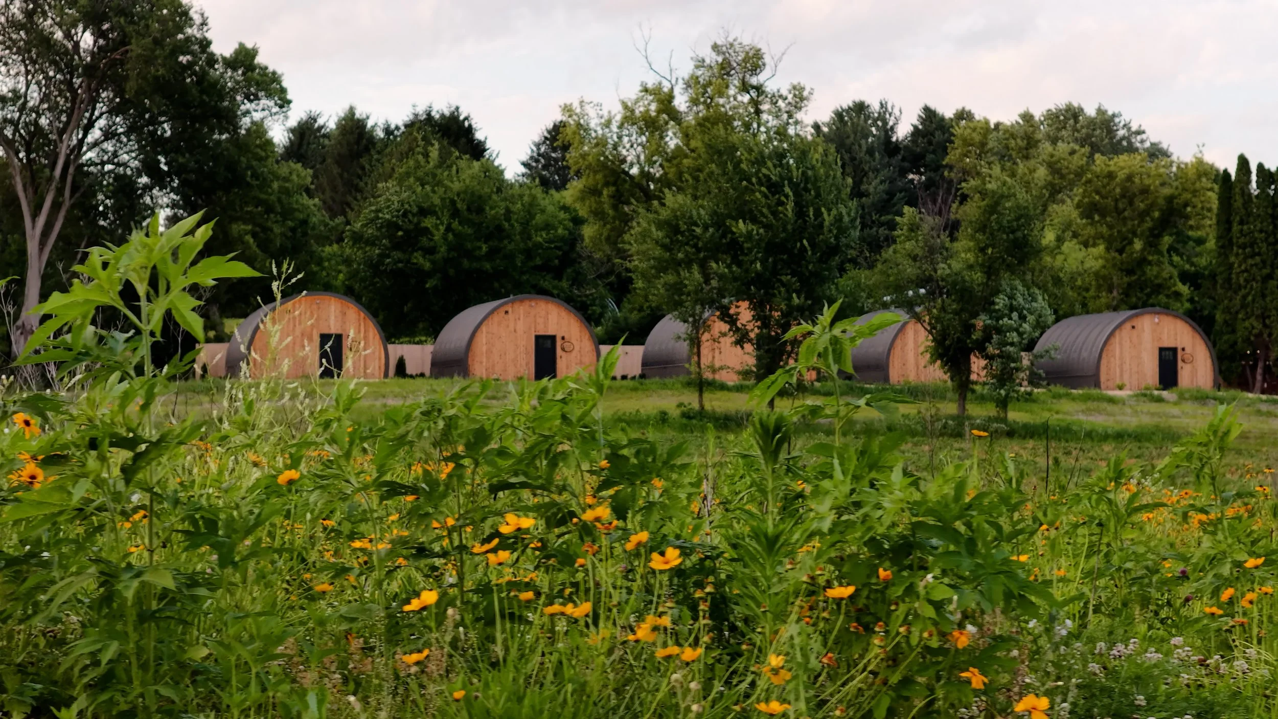 Four small, rounded wooden cabins with black roofs on a grassy field surrounded by trees and orange flowers.