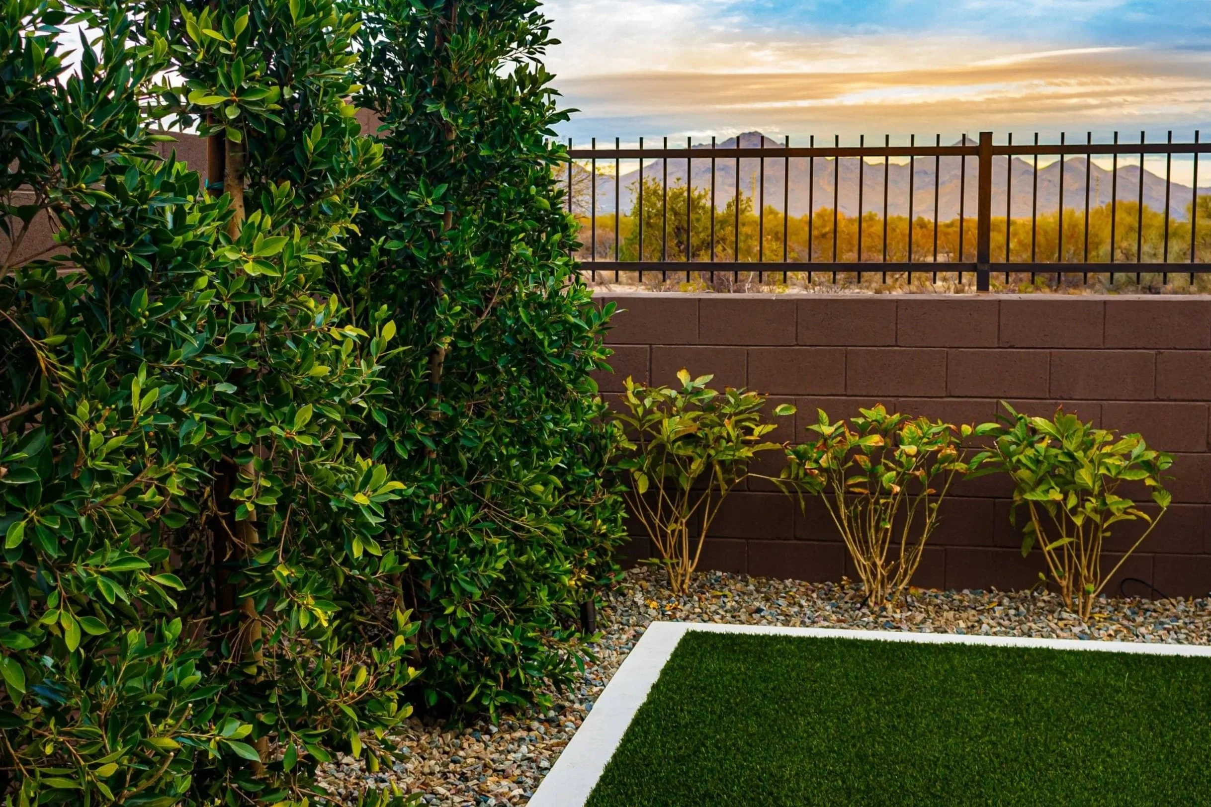 A backyard landscape design in Arcadia, AZ with young trees, plantings, and a fenced view at sunset