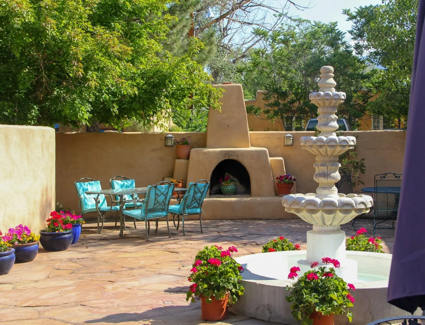 Mistakes to Avoid When Creating a Desert Landscape in Scottsdale